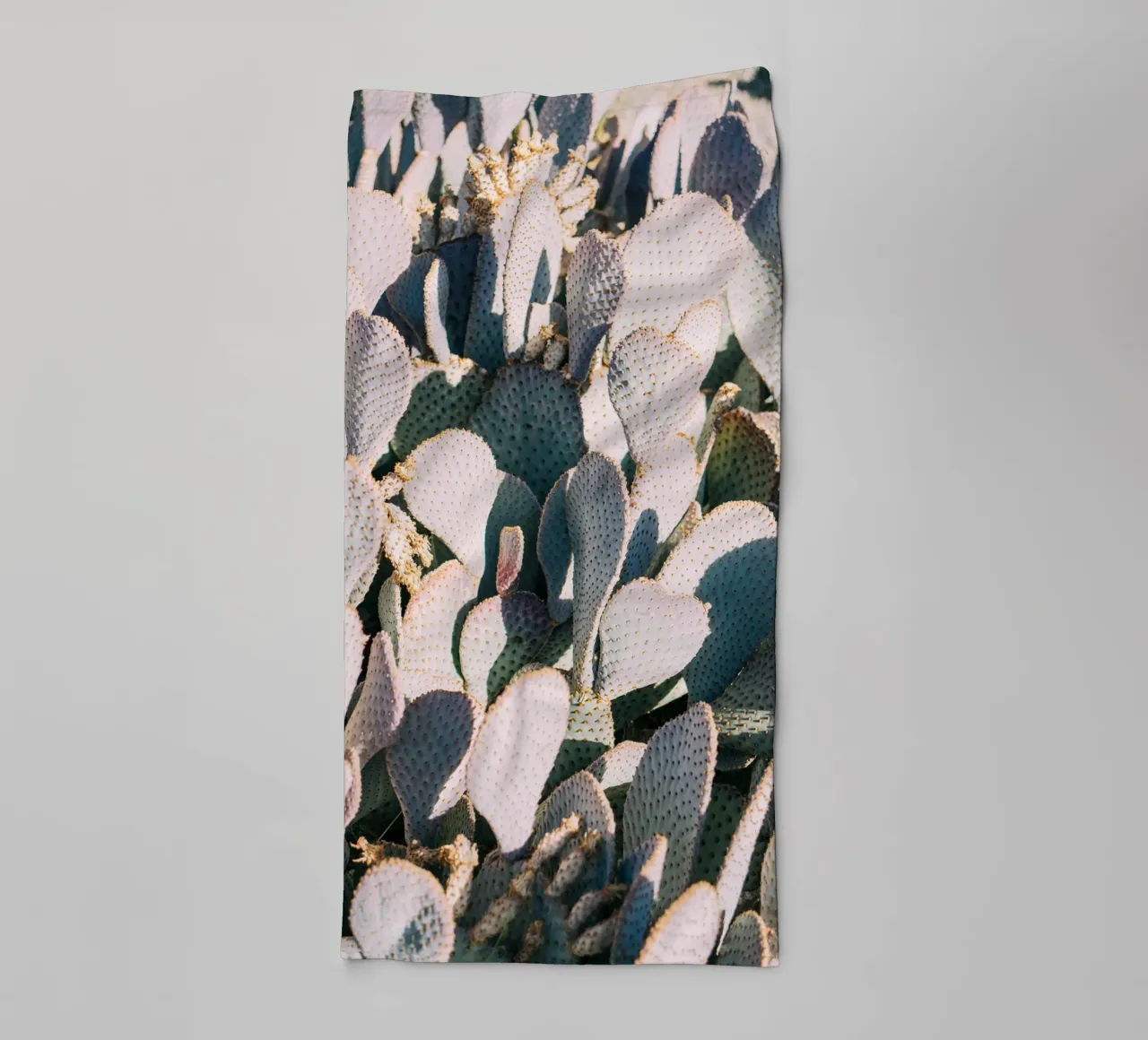 Desert Cacti Closeup asciugamano da bagno da patiphotography