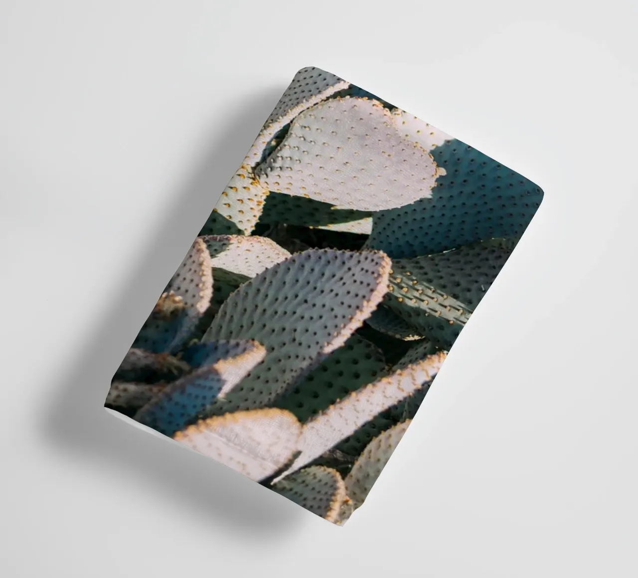 Desert Cacti Closeup asciugamano da bagno da patiphotography