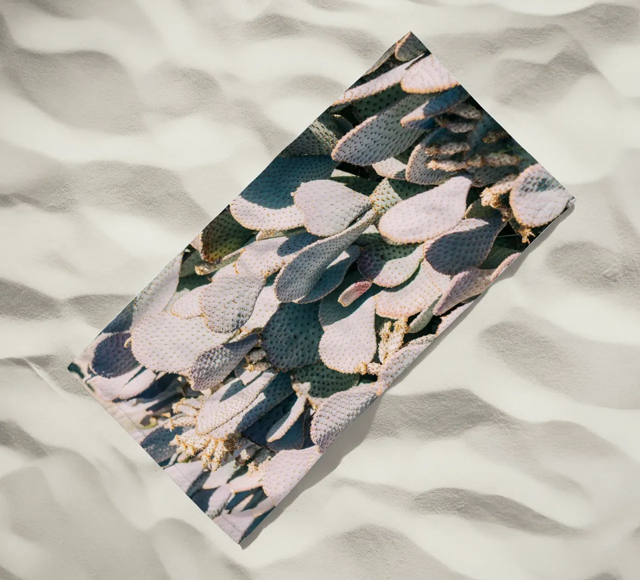 Desert Cacti Closeup telo mare da patiphotography