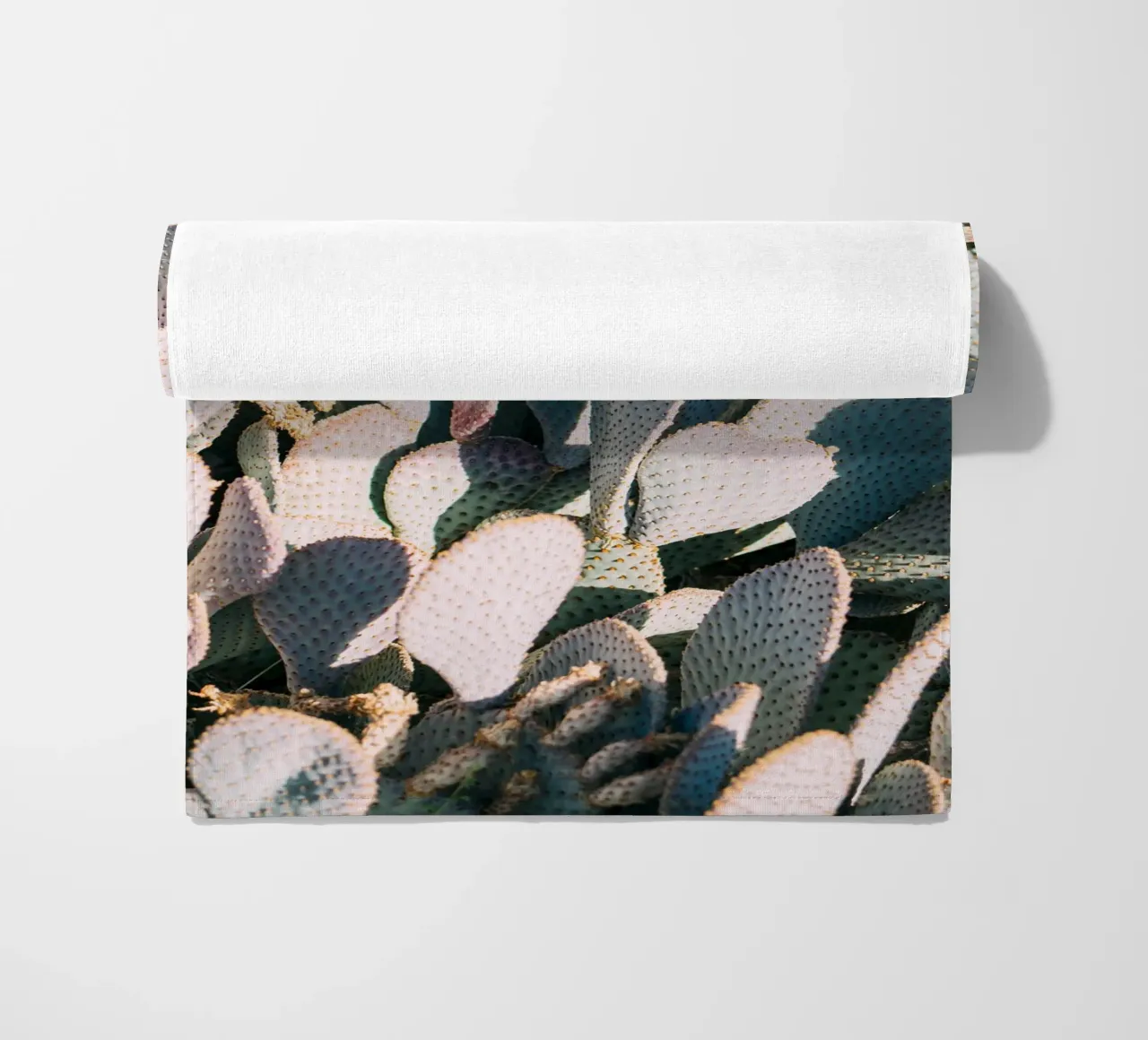 Desert Cacti Closeup telo mare da patiphotography