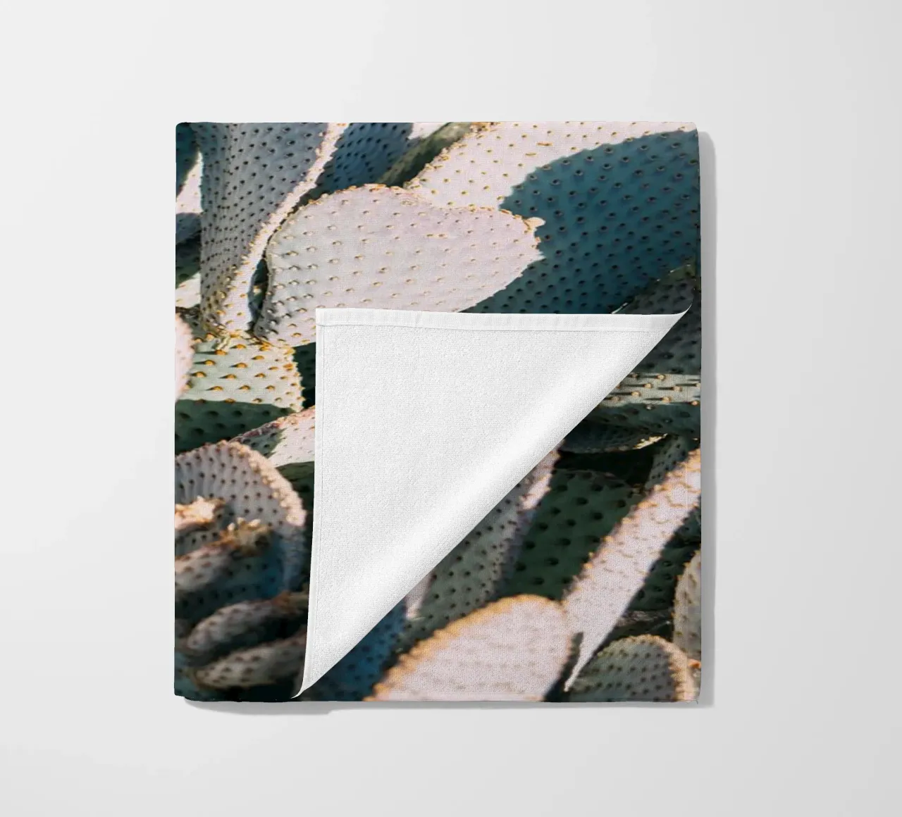 Desert Cacti Closeup telo mare da patiphotography