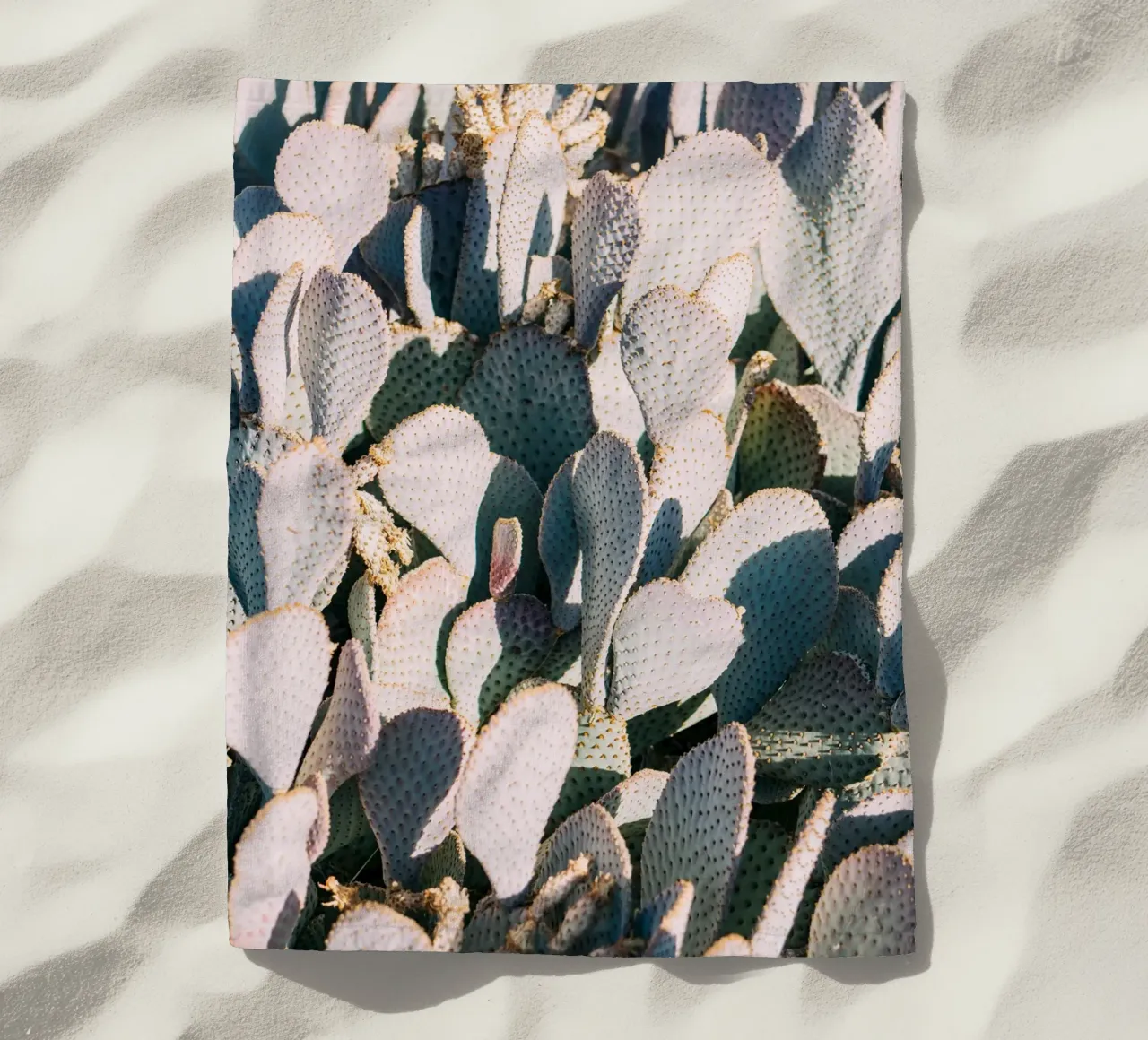 Desert Cacti Closeup telo mare da patiphotography