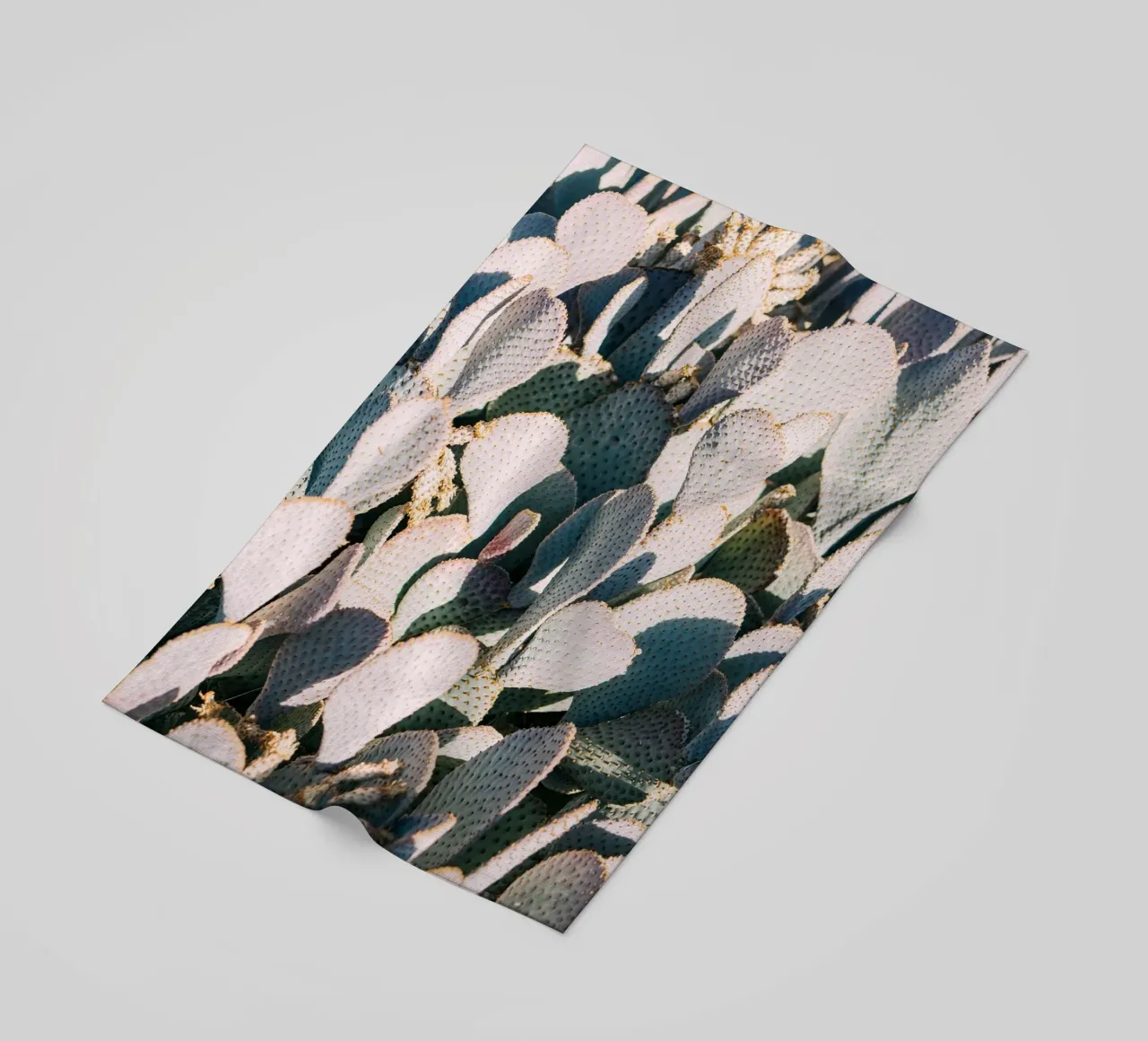 Desert Cacti Closeup telo mare da patiphotography