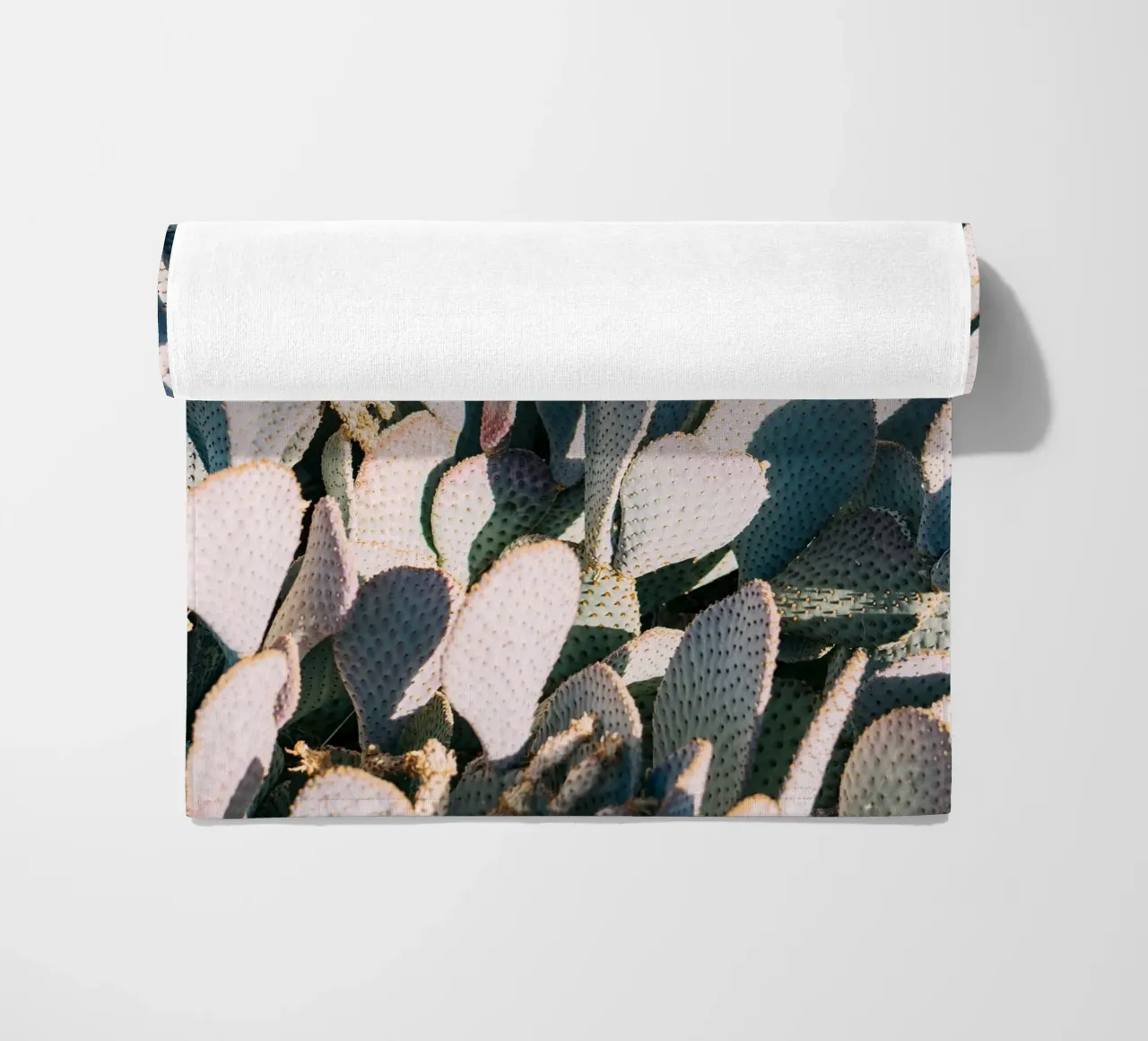 Desert Cacti Closeup telo mare da patiphotography