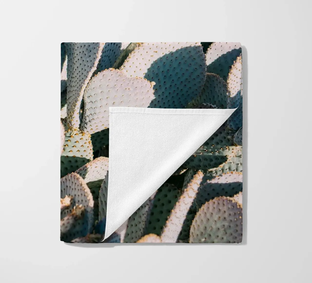 Desert Cacti Closeup telo mare da patiphotography