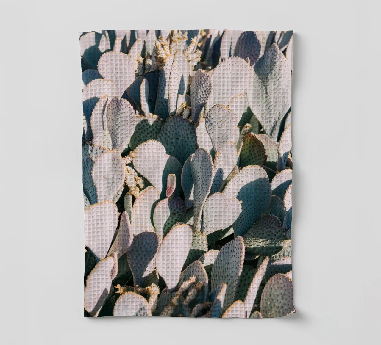 Desert Cacti Closeup canovaccio da cucina da patiphotography