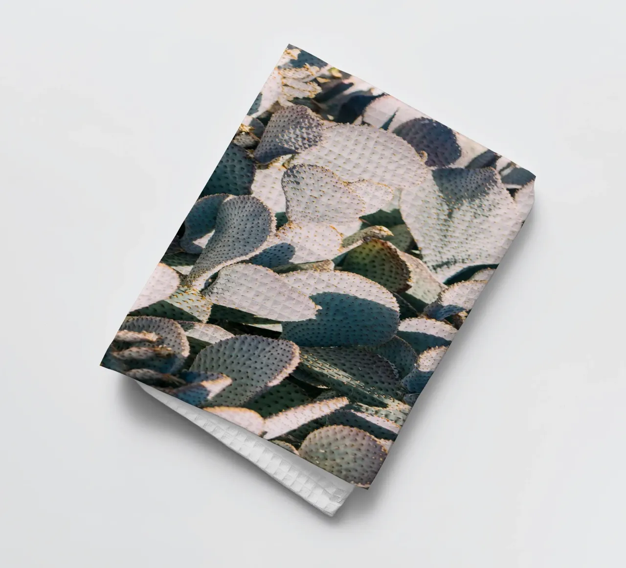 Desert Cacti Closeup canovaccio da cucina da patiphotography