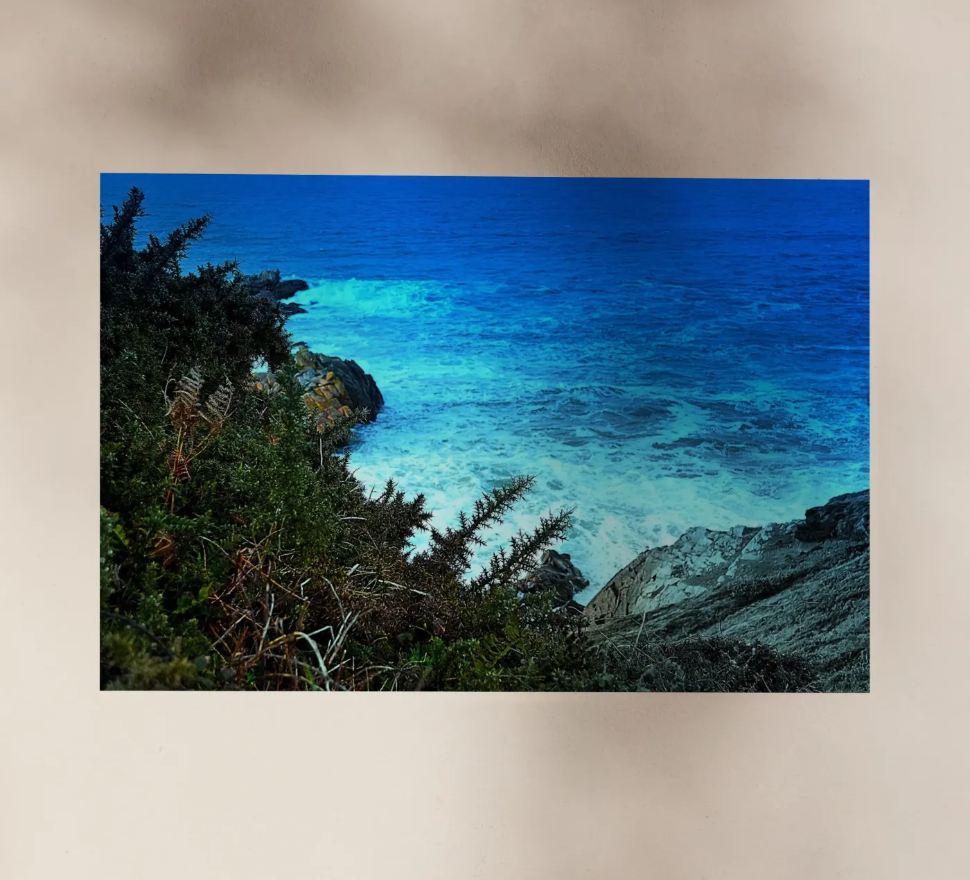 FAA97 pellicola backlit da Thierry vobmann photography