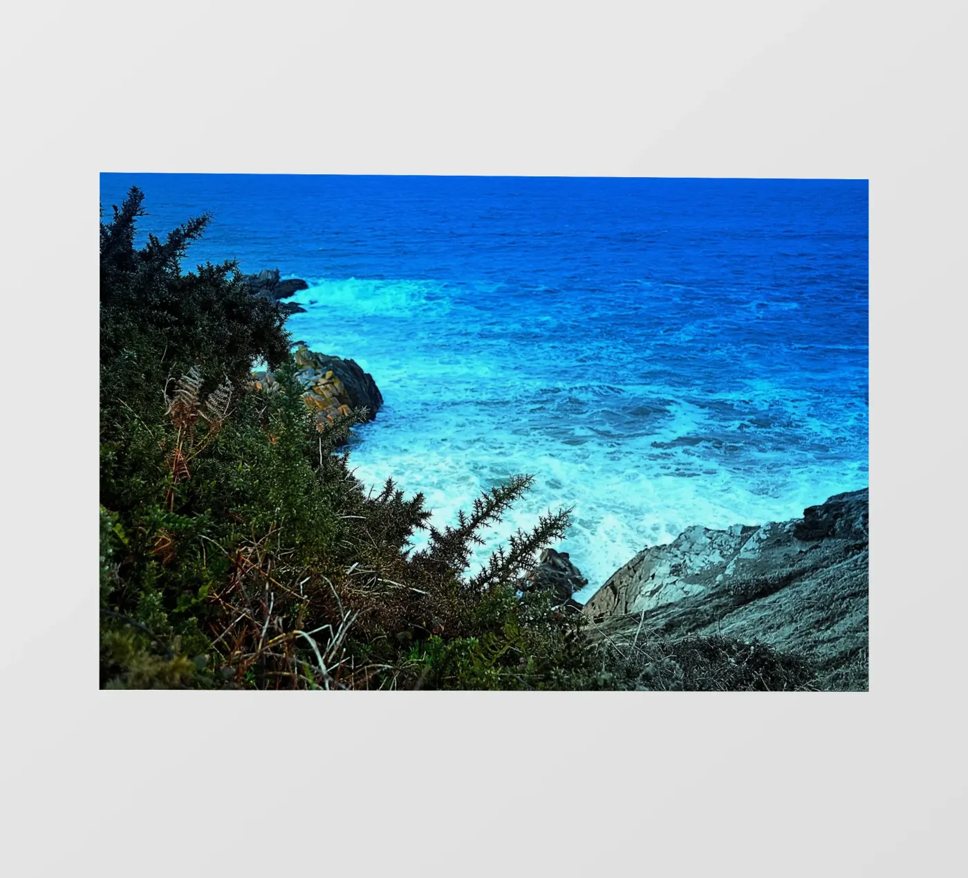 FAA97 pellicola backlit da Thierry vobmann photography