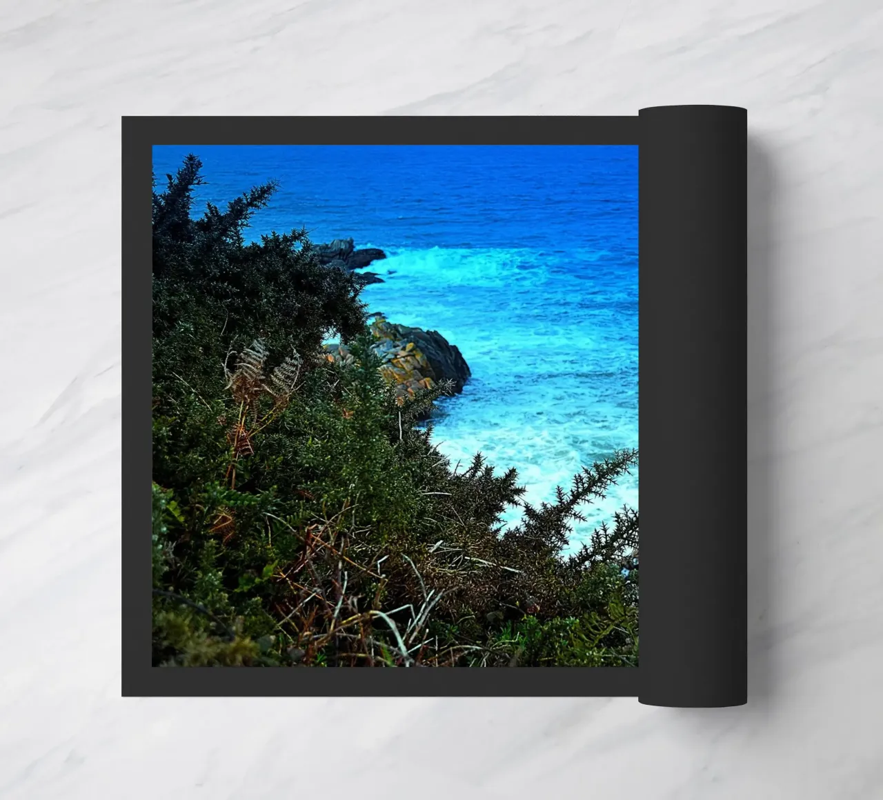 FAA97 zerbino da Thierry vobmann photography