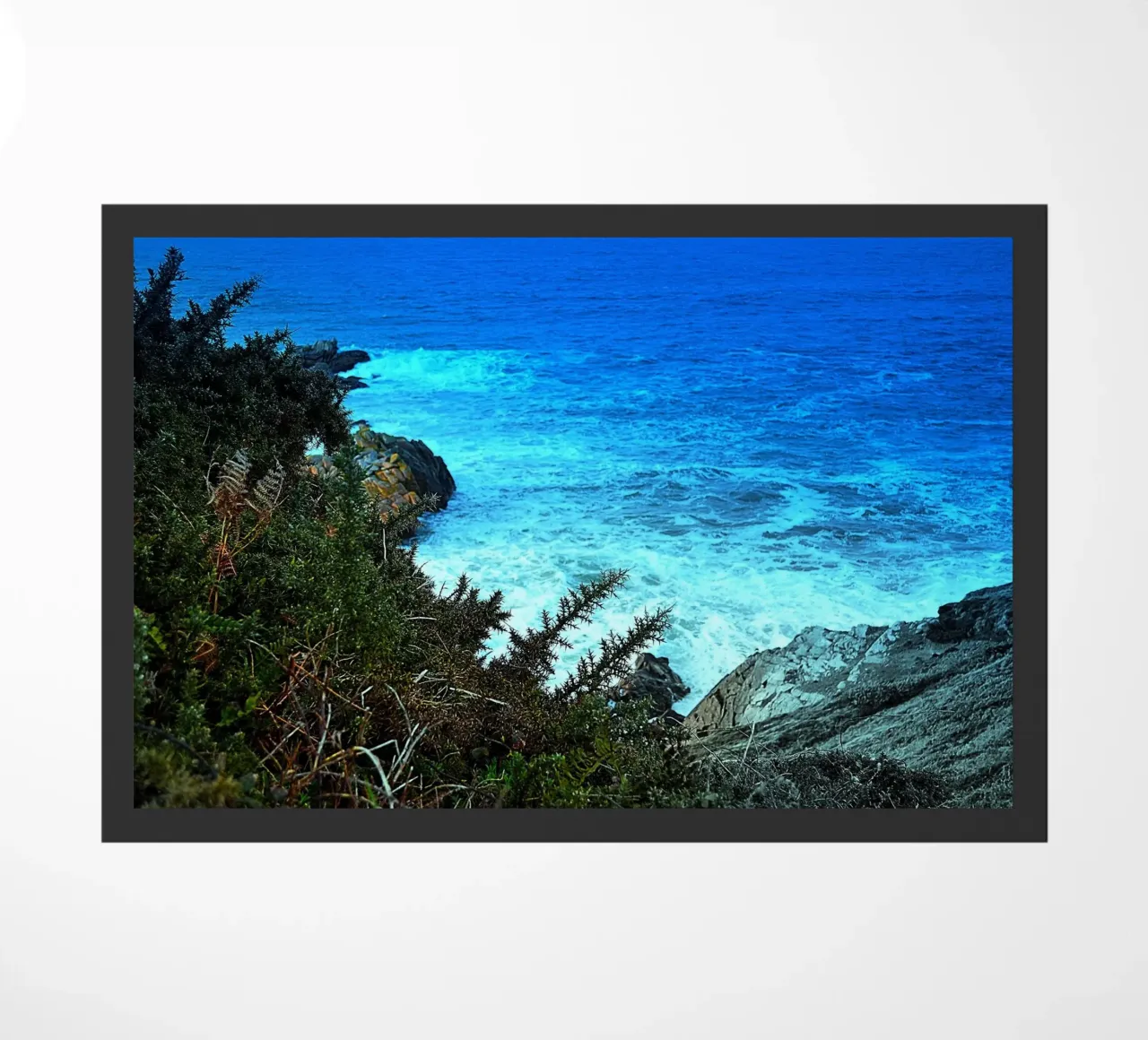 FAA97 zerbino da Thierry vobmann photography