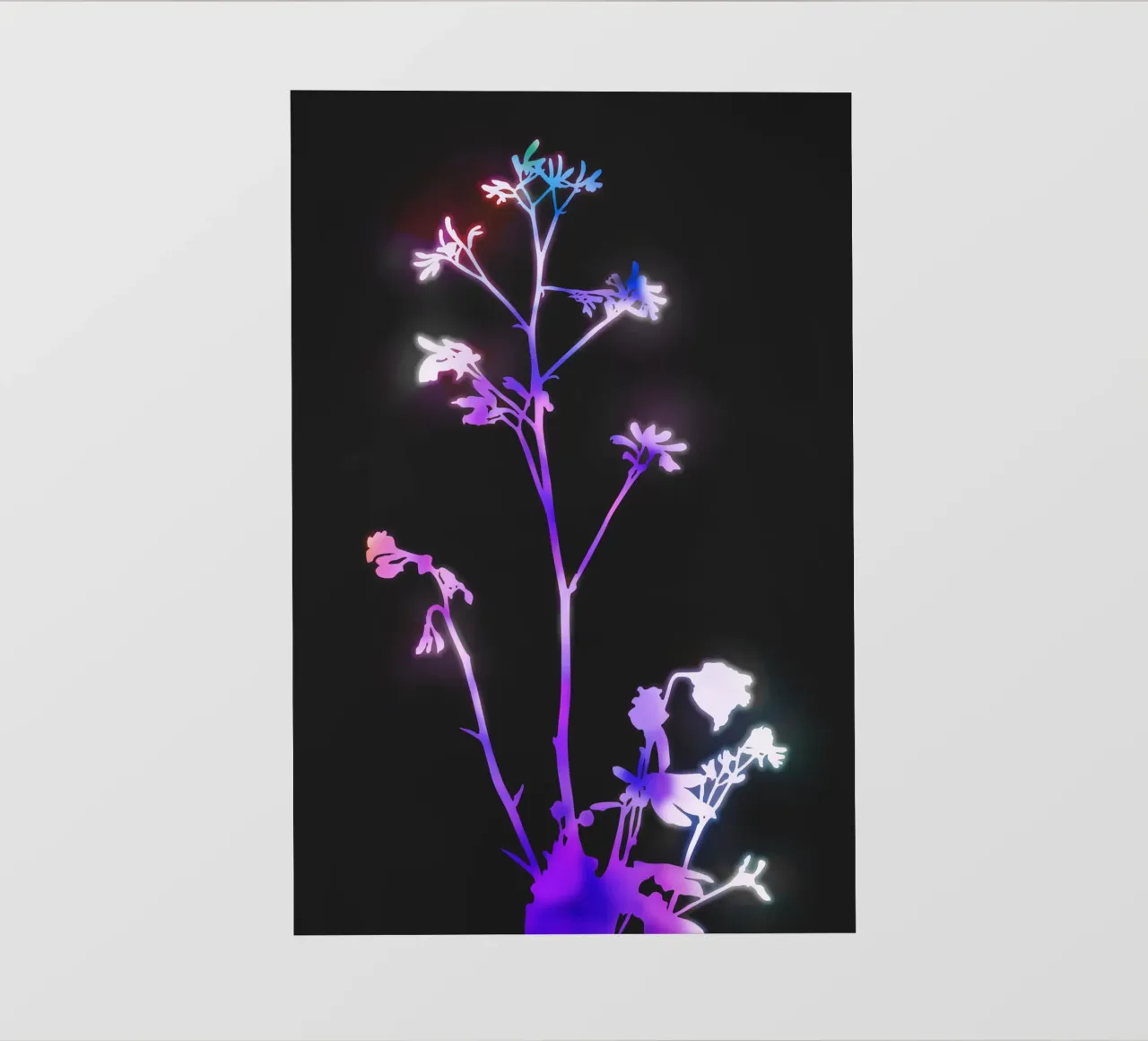 Florescenza viola pellicola backlit da amini54