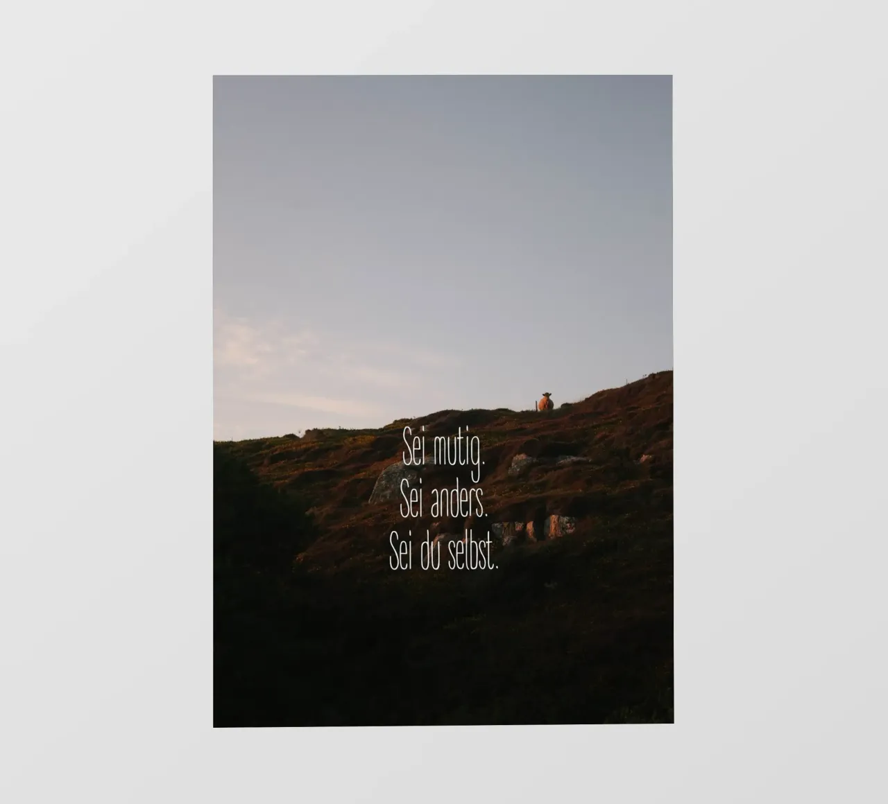 Sei mutig, sei anders, sei du selbst pellicola backlit da Wild Horizon Studio