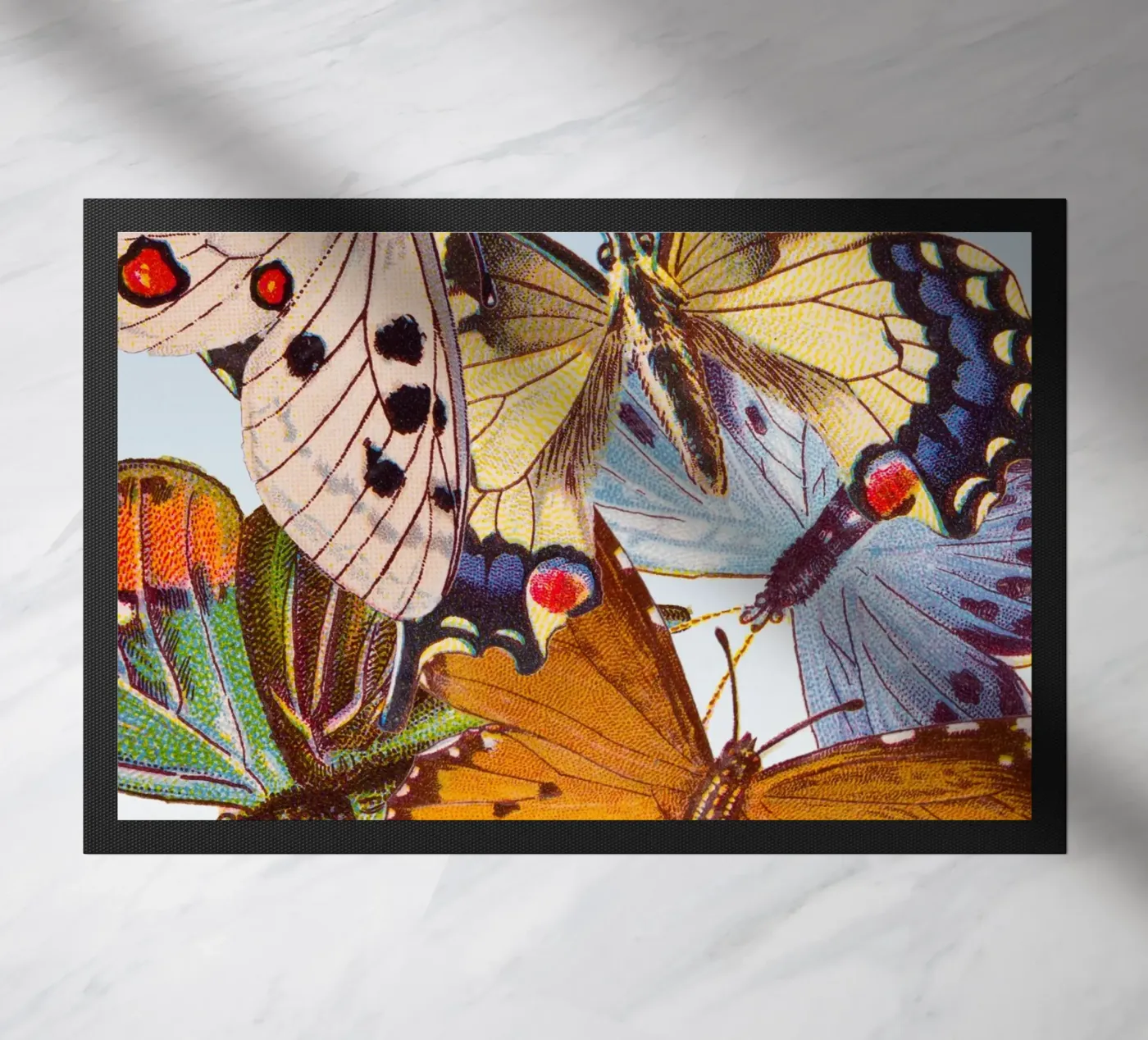 Butterflies zerbino da IndigoBird