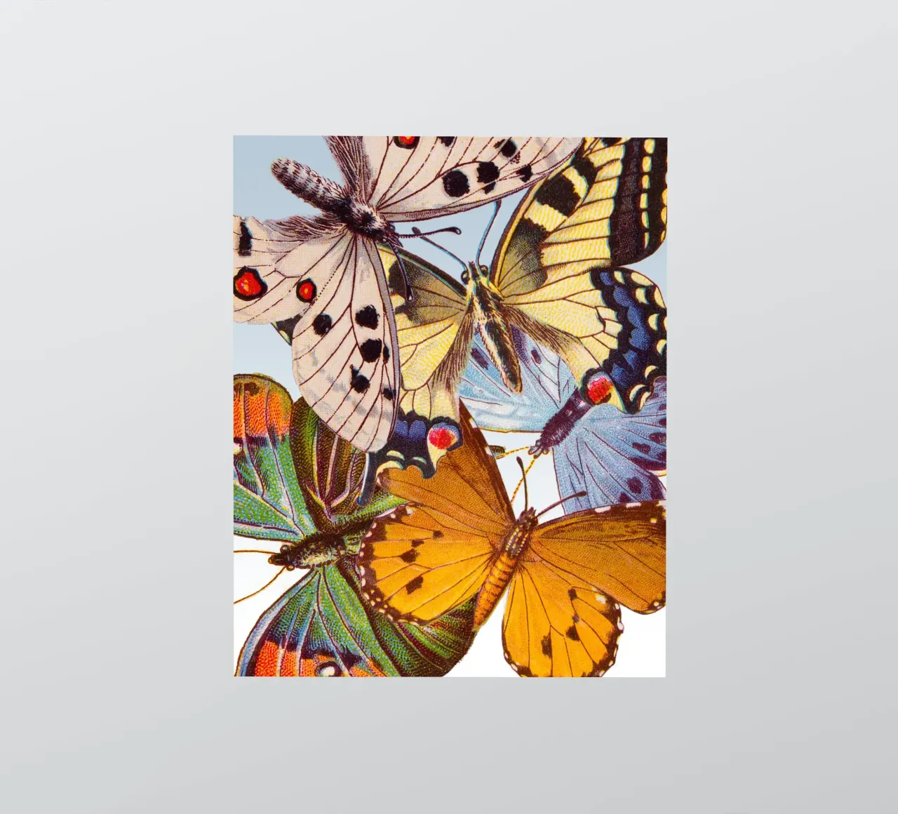 Butterflies sticker van IndigoBird