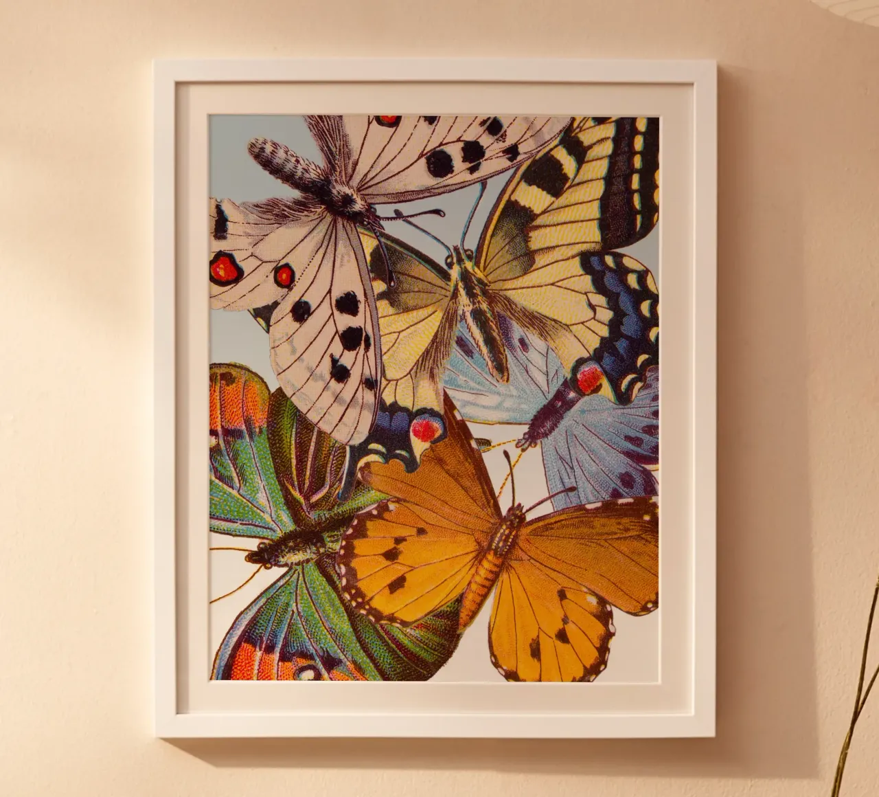 Butterflies poster da IndigoBird