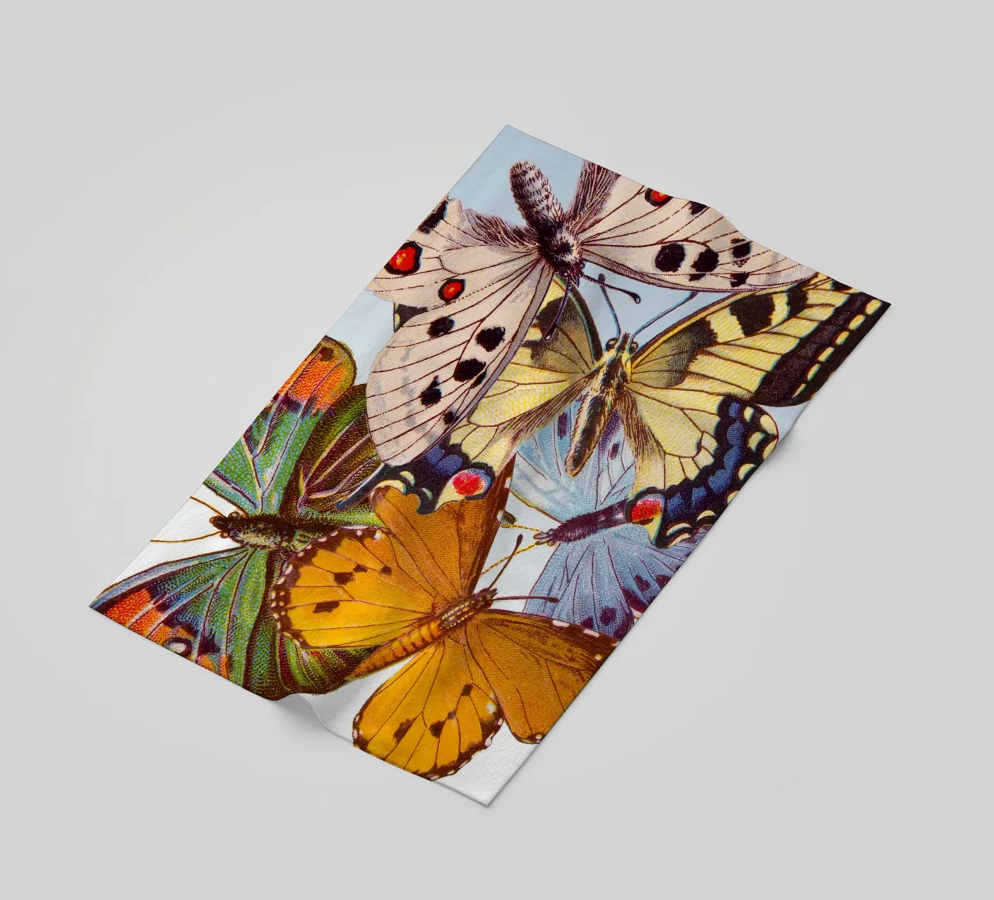 Butterflies telo mare da IndigoBird