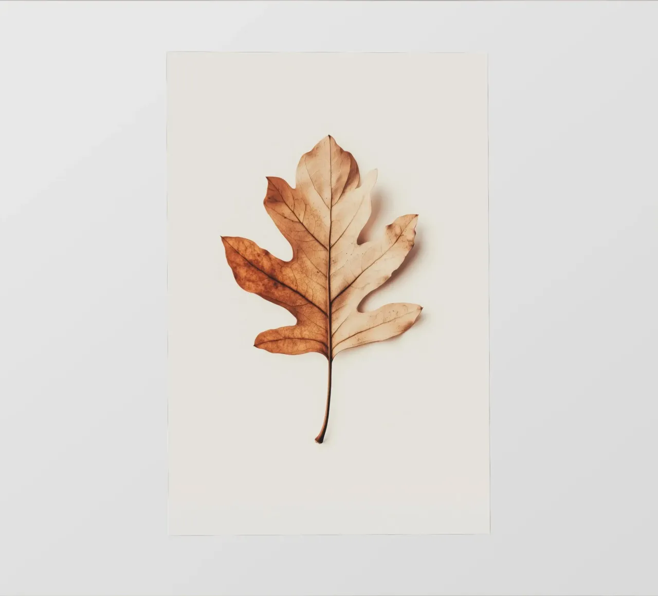 Autumn Leaf pellicola backlit da treechild