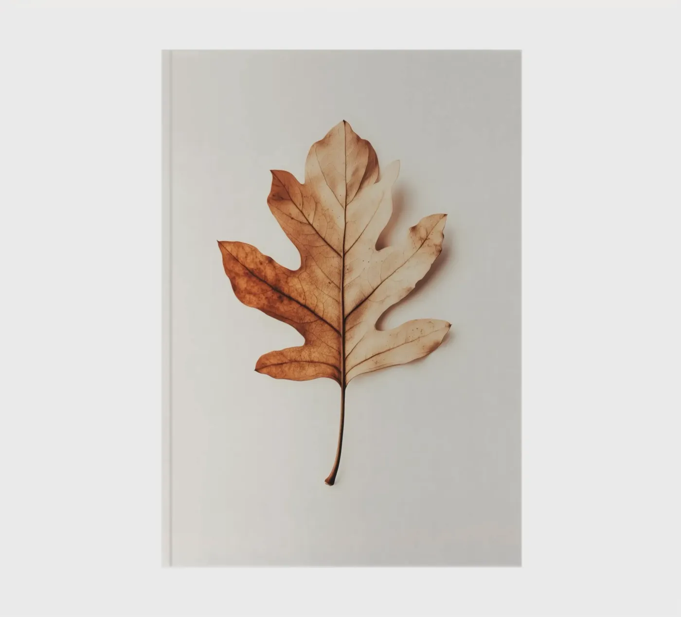 Autumn Leaf notebook by treechild