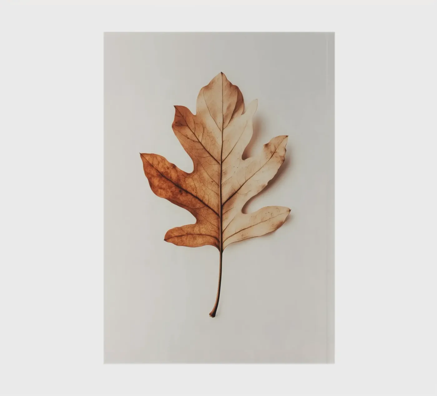 Autumn Leaf notebook by treechild