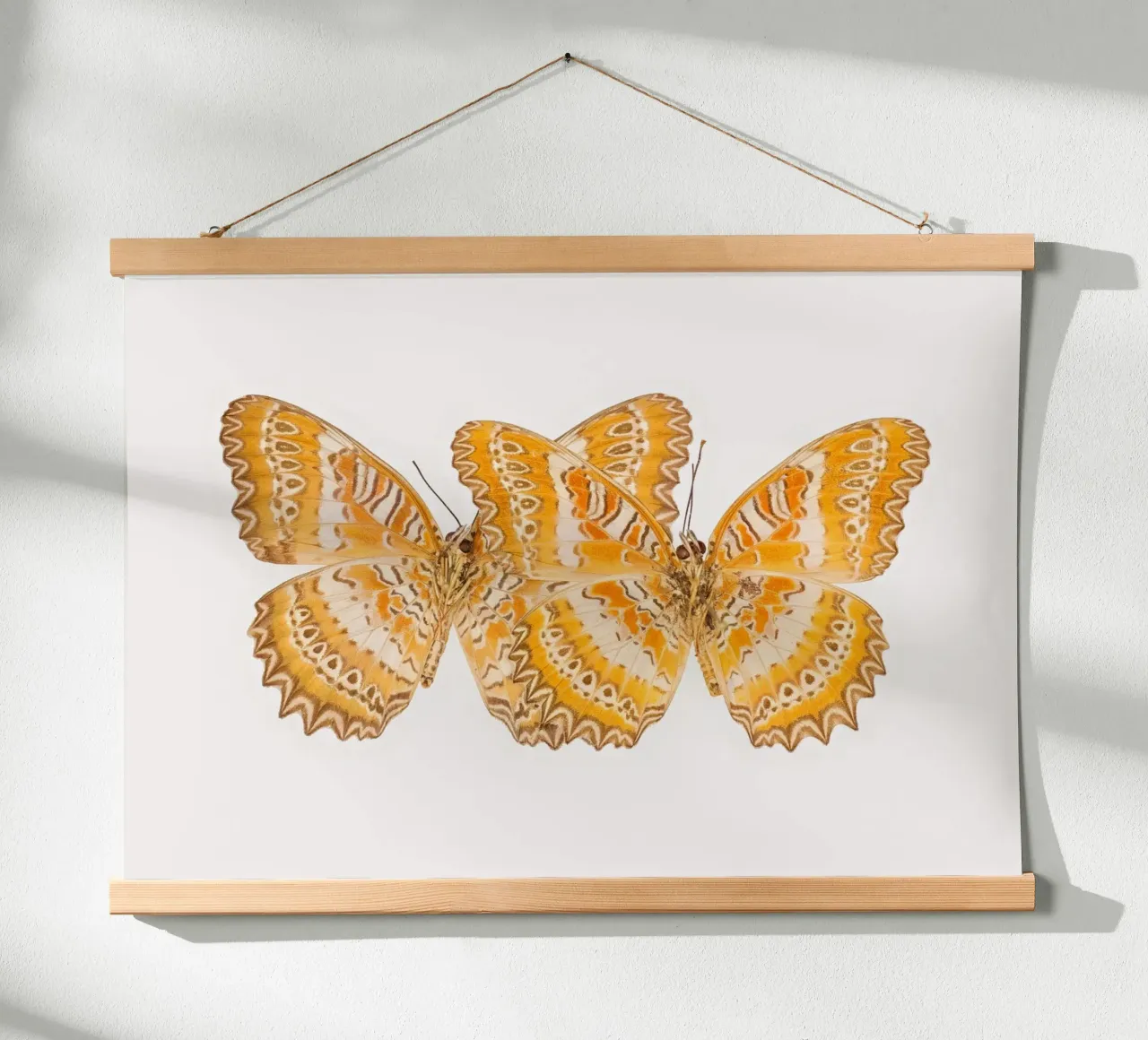 Duo d'oro: Farfalle gialle poster da Curious Collections by Marielle Leenders
