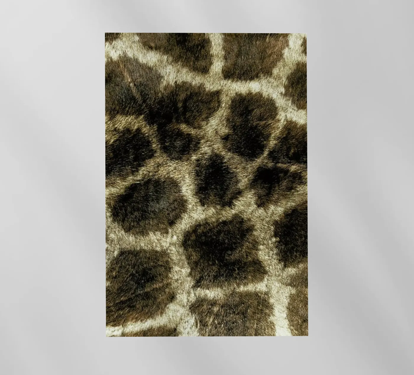 Giraph pellicola backlit da Ballack Art House