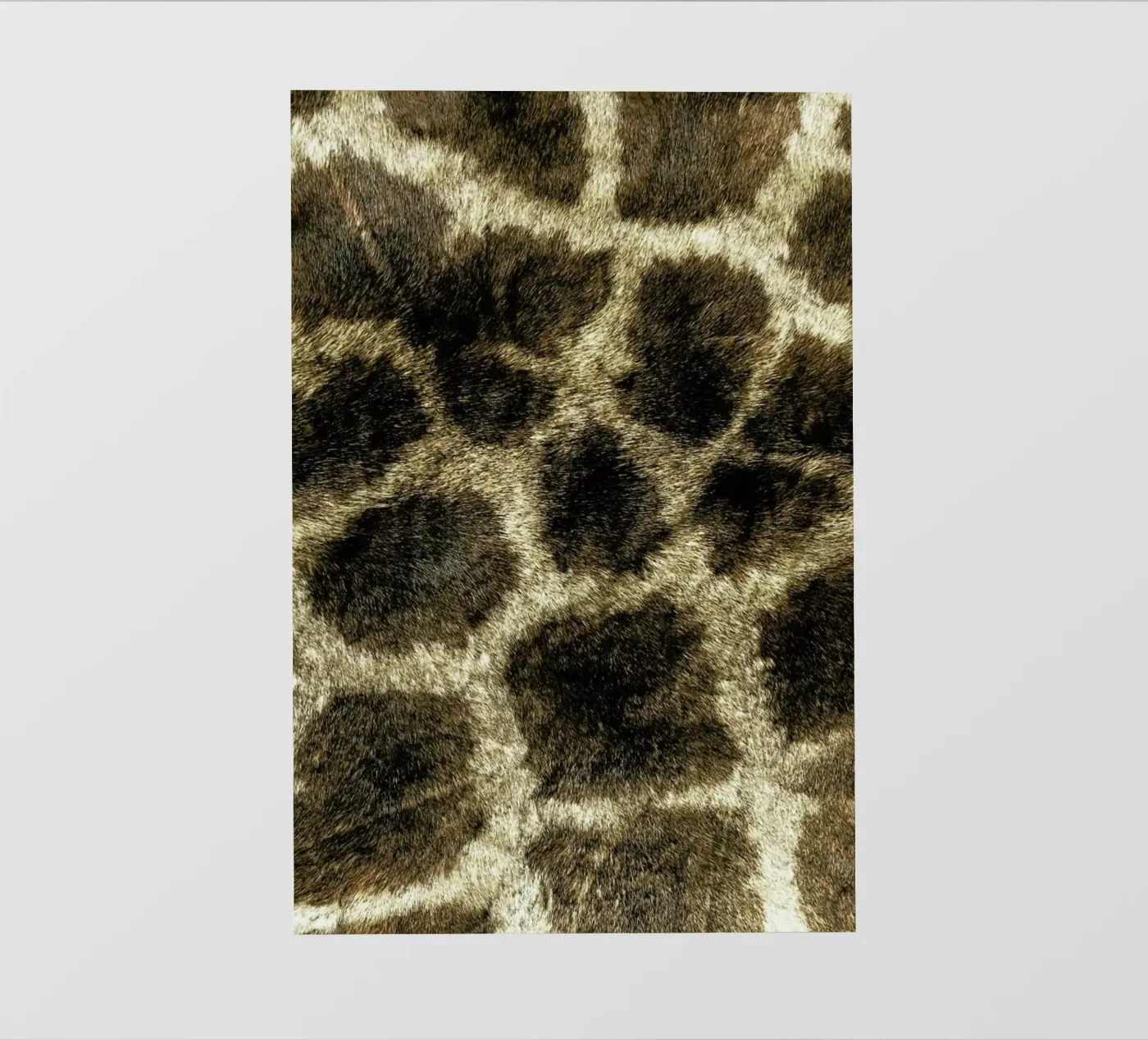 Giraph pellicola backlit da Ballack Art House