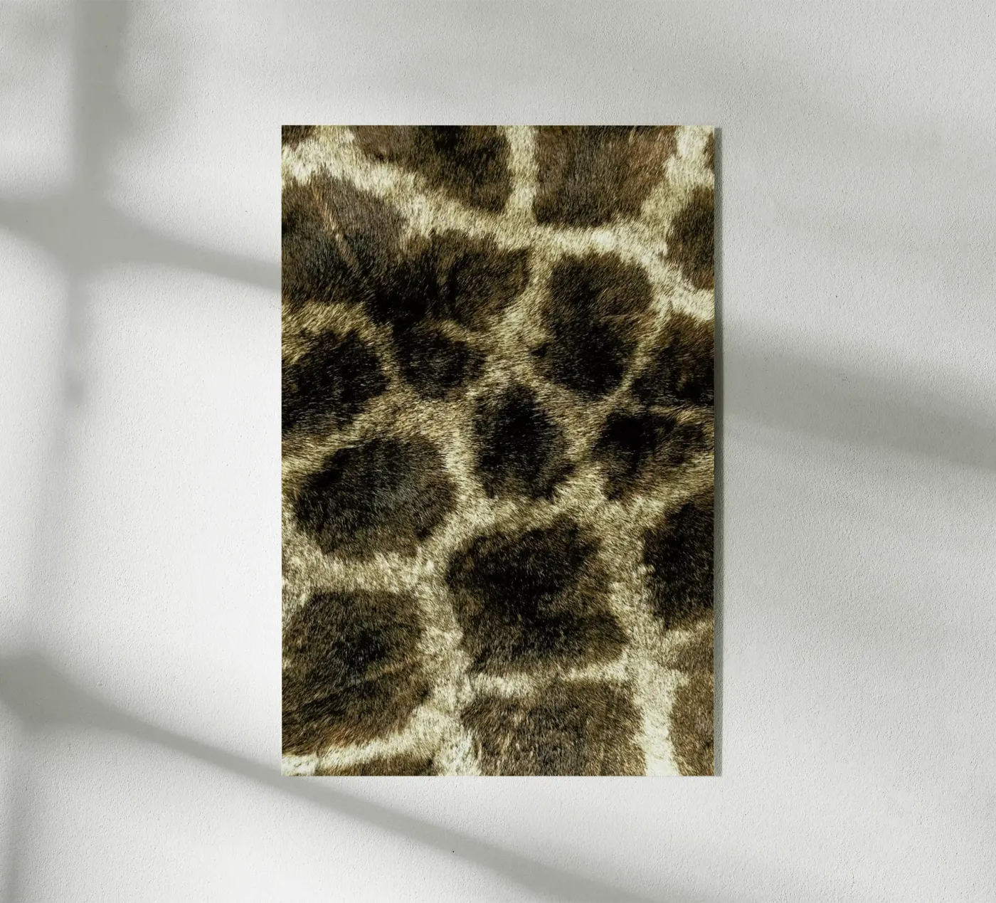 Giraph plexiglas de Ballack Art House