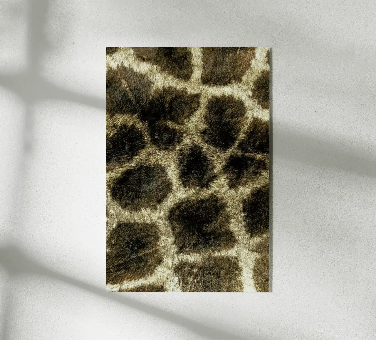 Giraph plexiglass da Ballack Art House