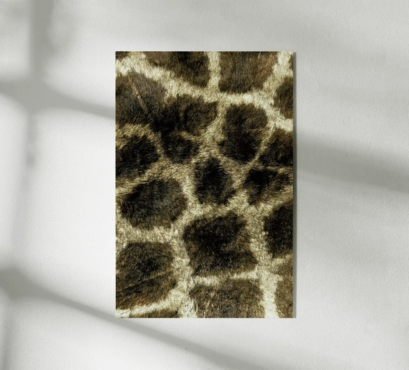 Giraph acrylic glass by Ballack Art House