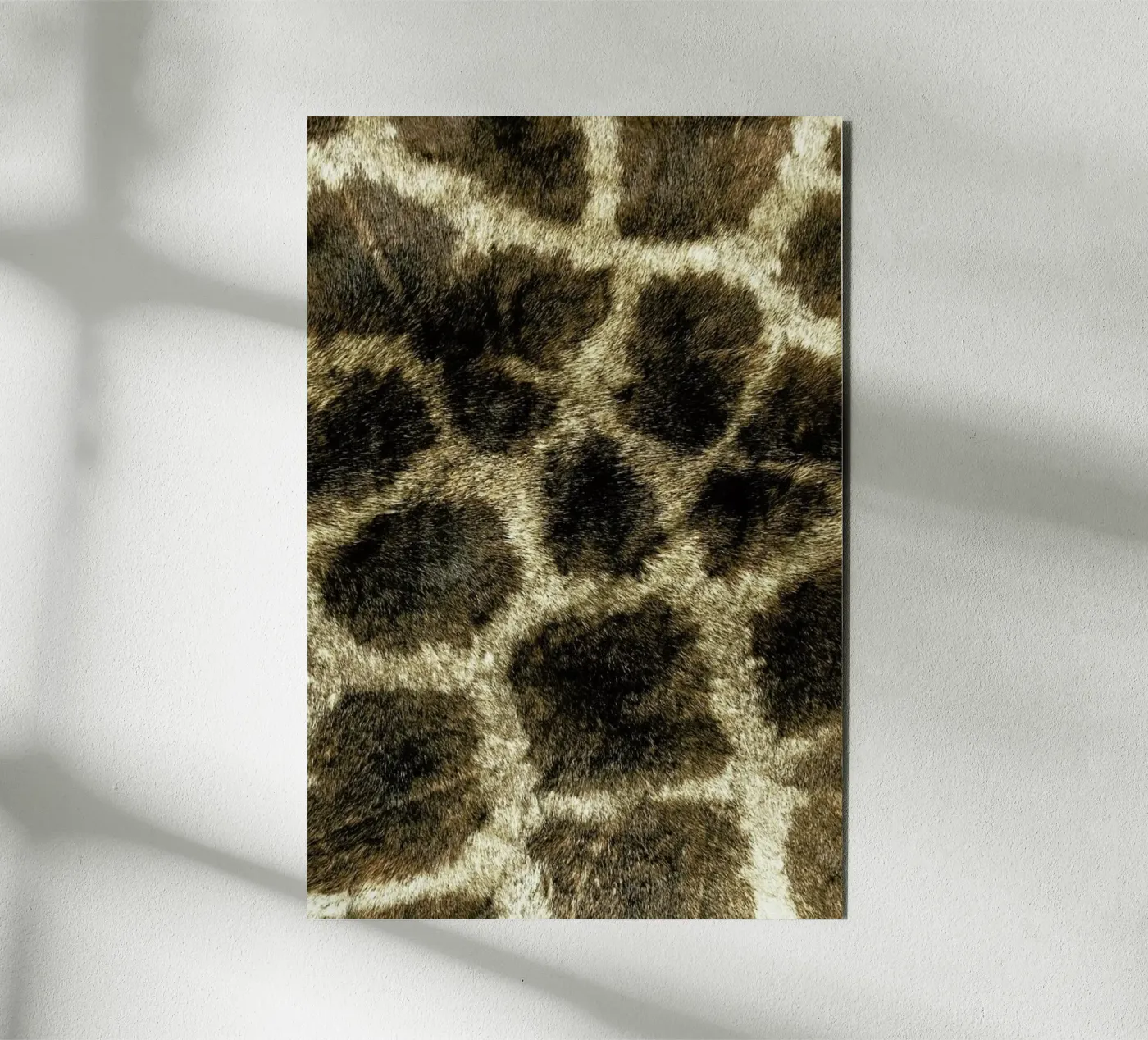 Giraph pannello forex da Ballack Art House