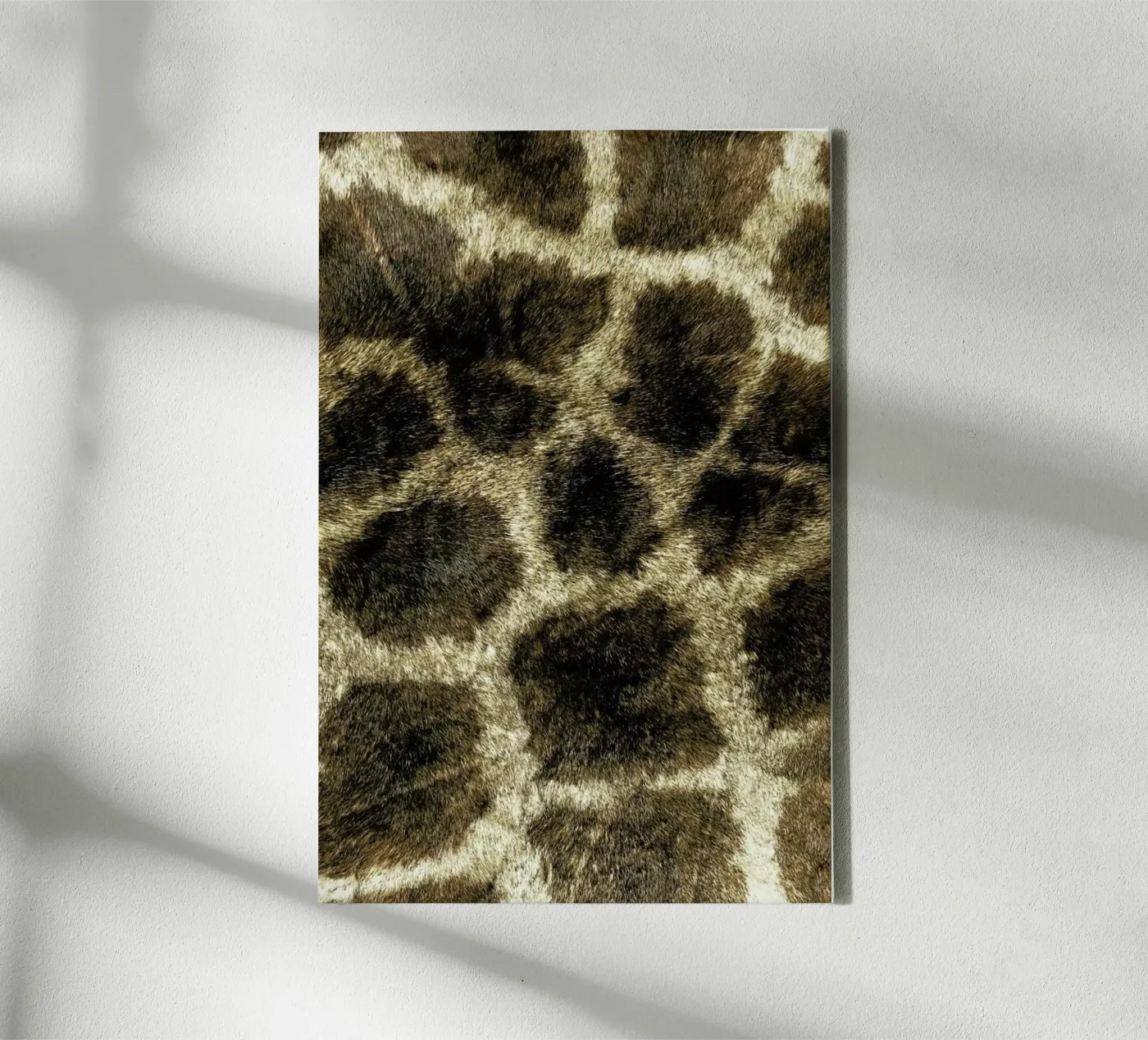 Giraph tela da Ballack Art House