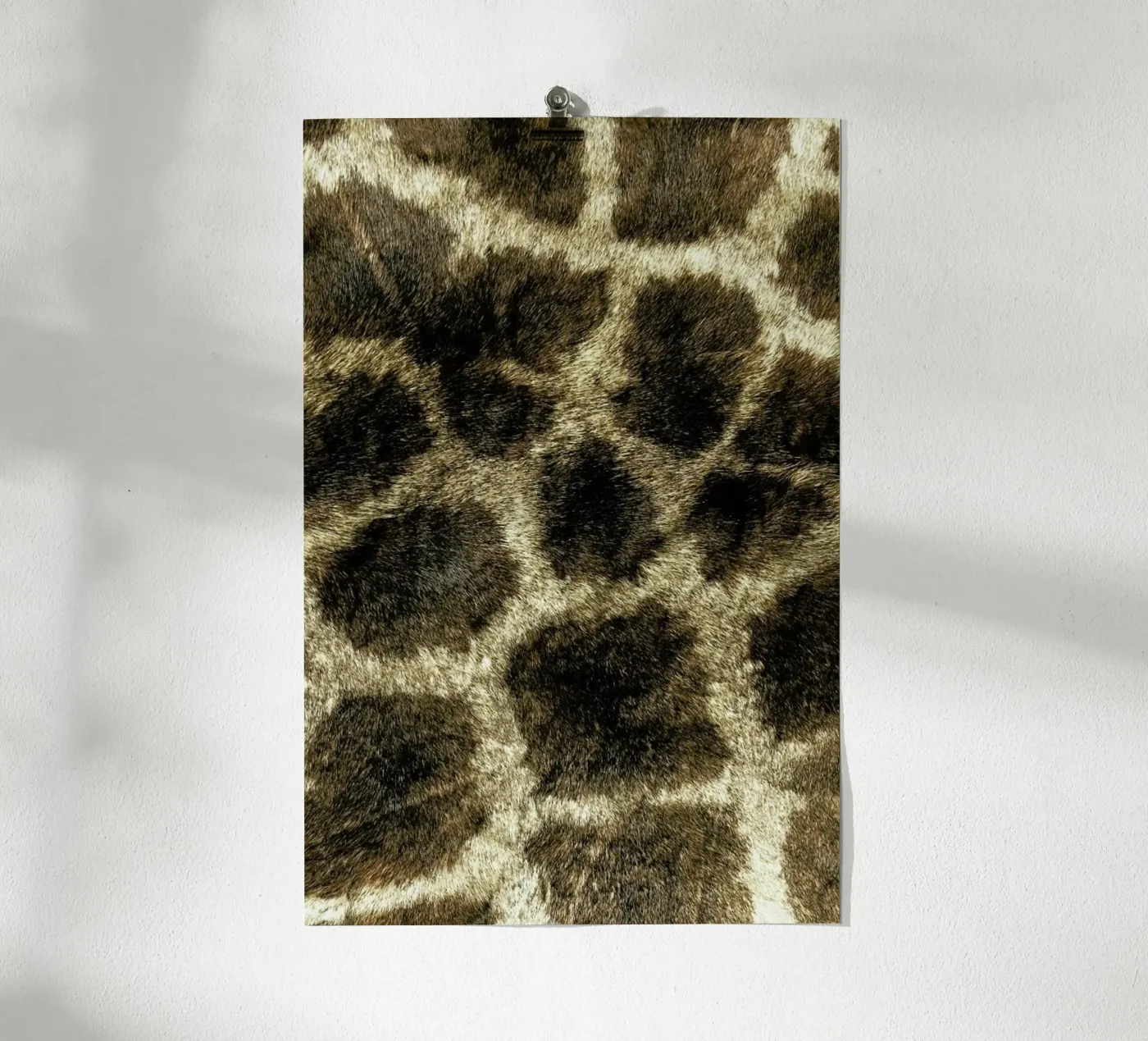 Giraph Poster von Ballack Art House