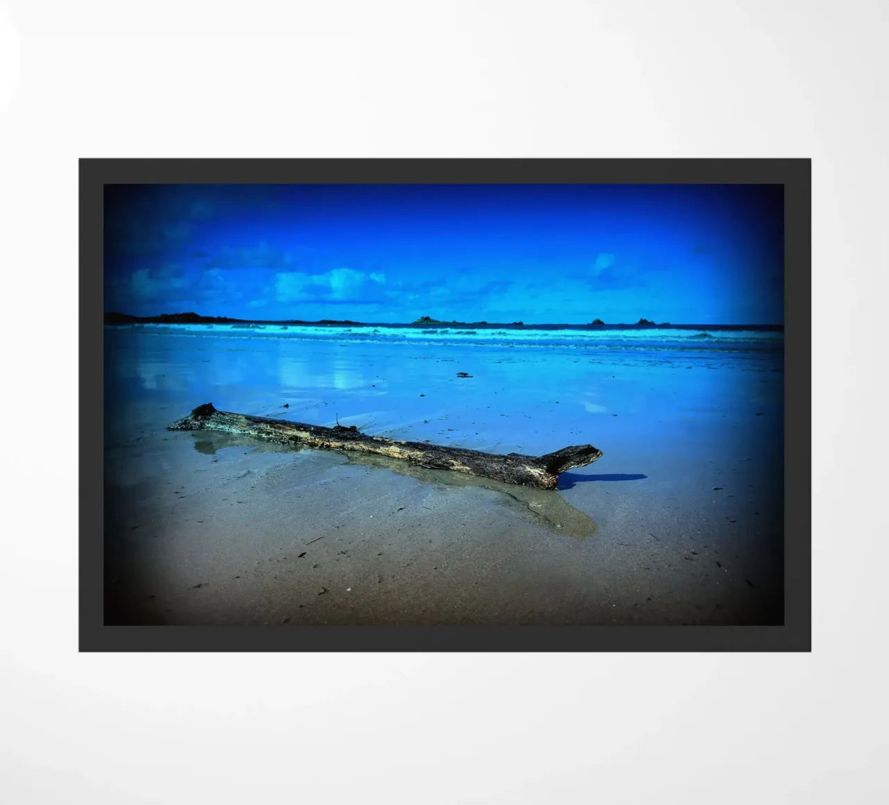 FAA99 zerbino da Thierry vobmann photography