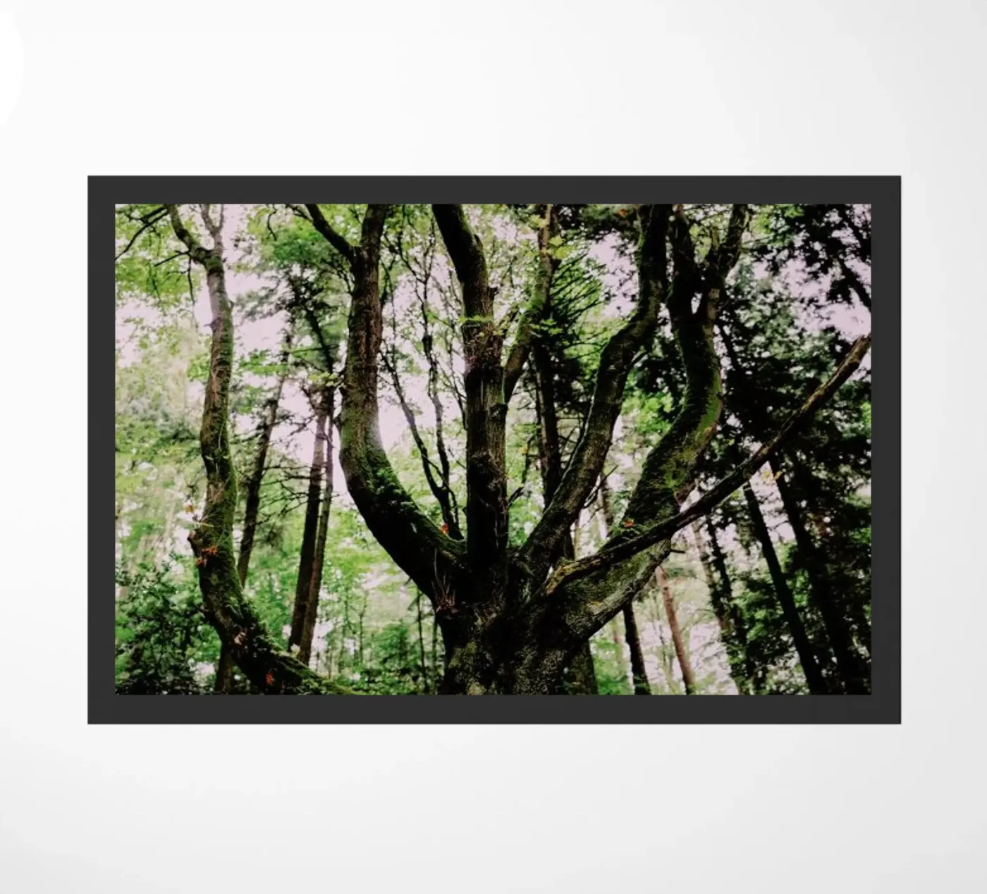 Forest Magic deurmat van Leah Flores