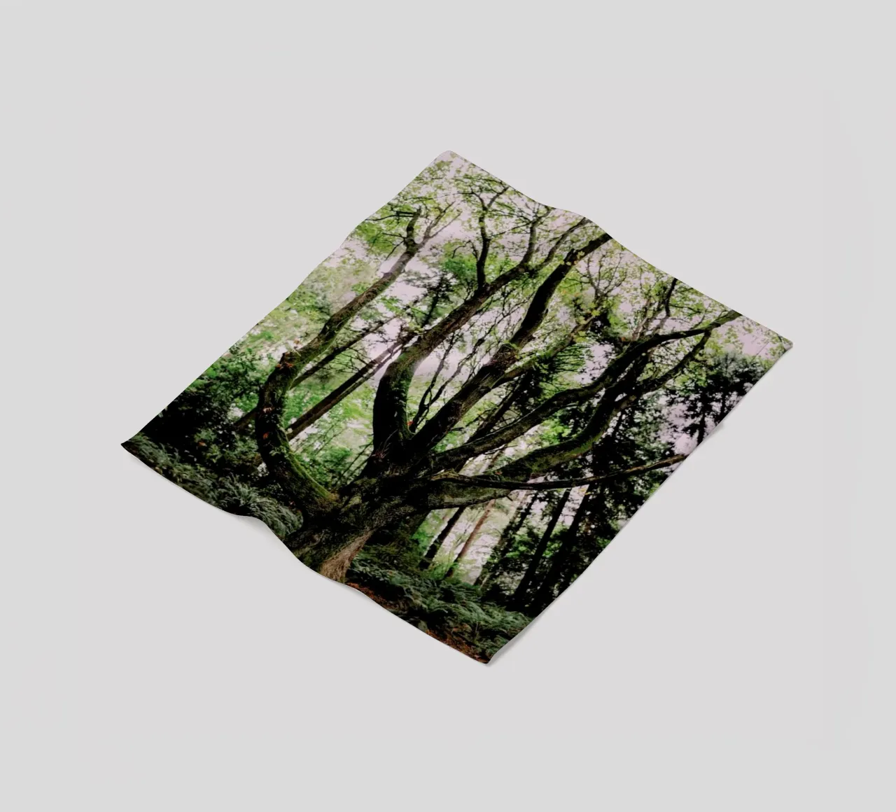 Forest Magic fleecedeken van Leah Flores