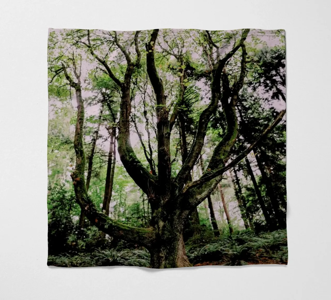 Forest Magic fleecedeken van Leah Flores