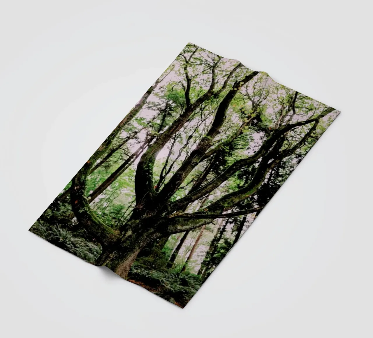 Forest Magic fleecedeken van Leah Flores