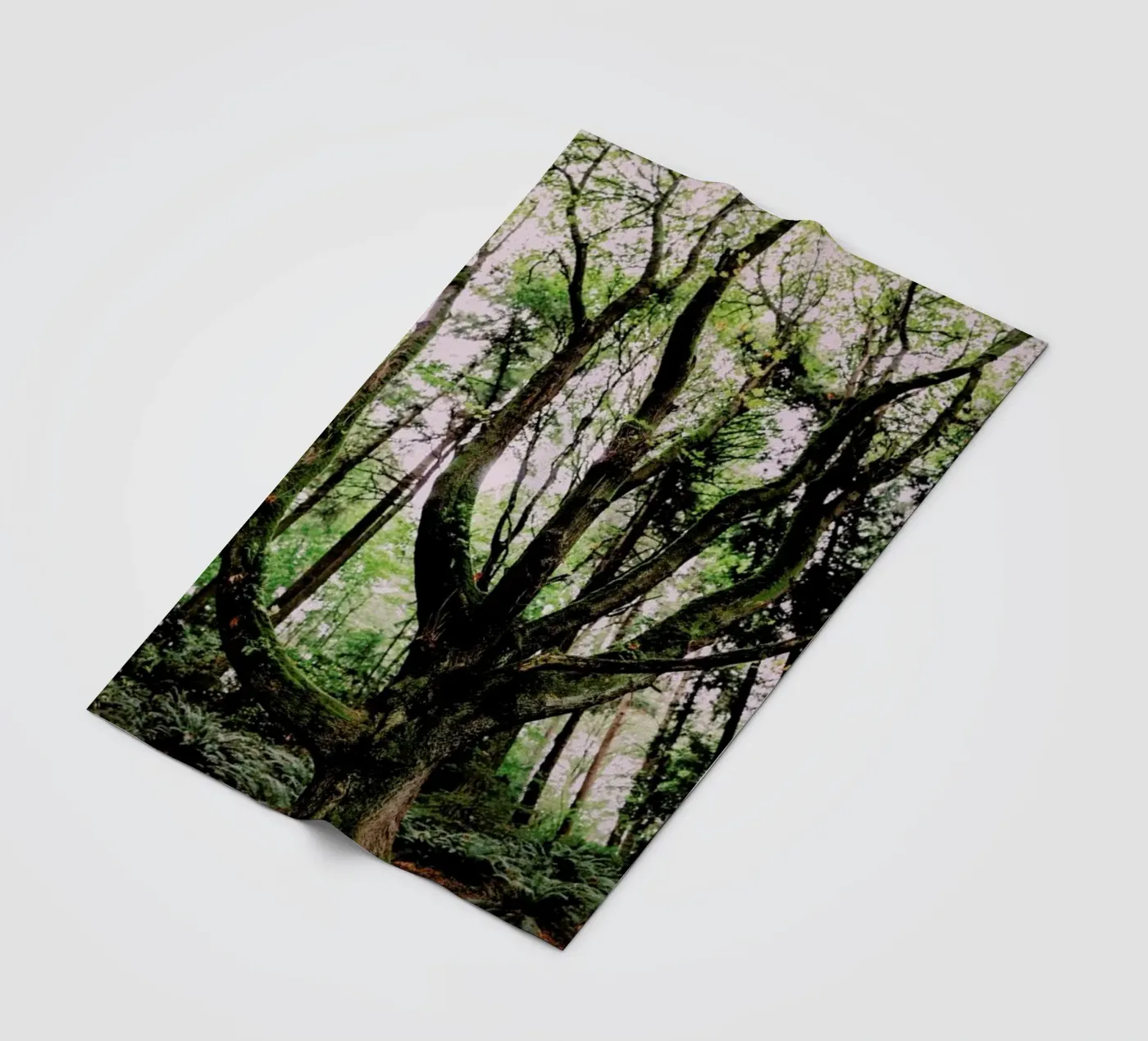 Forest Magic fleecedeken van Leah Flores