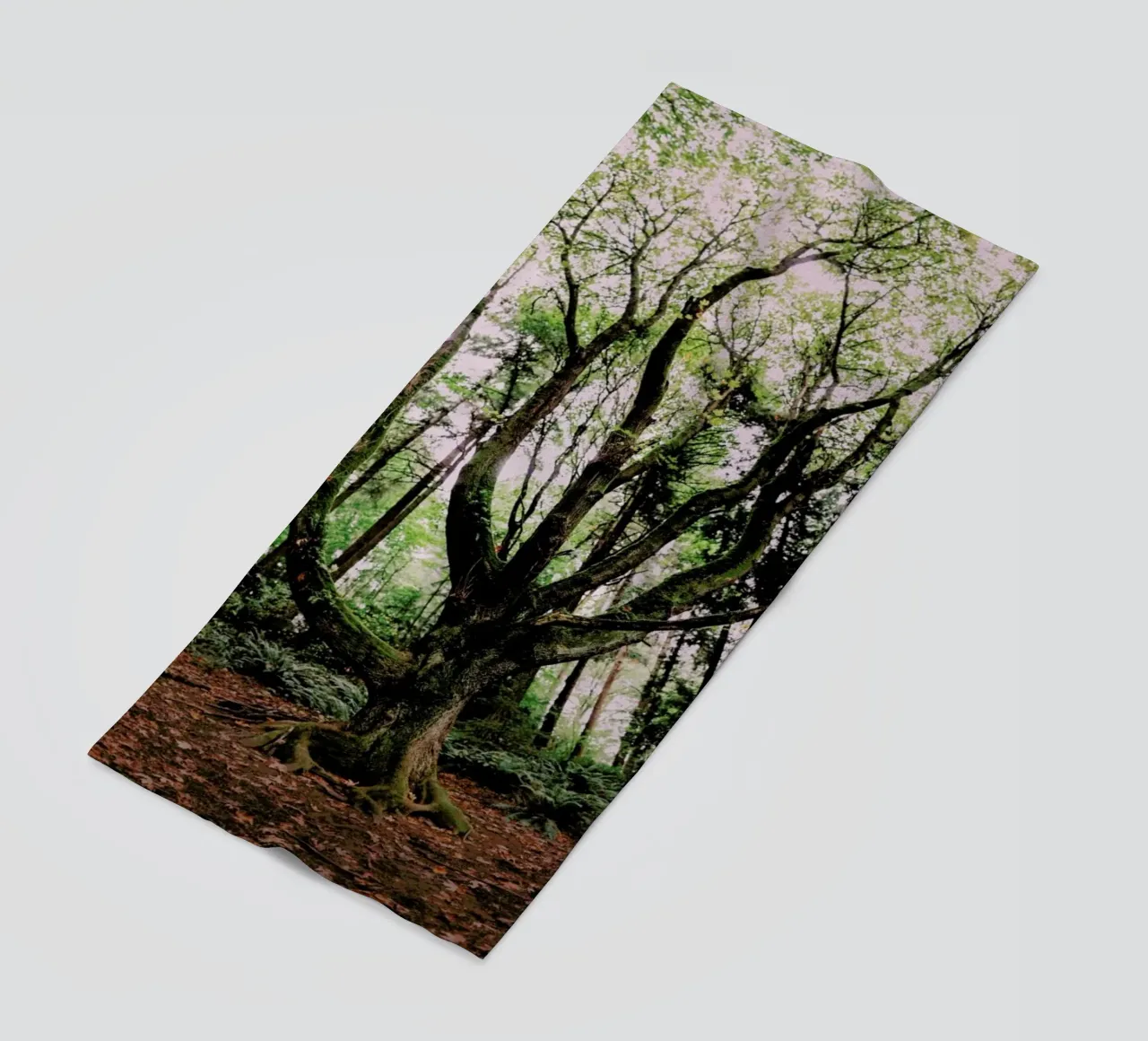 Forest Magic telo mare da Leah Flores