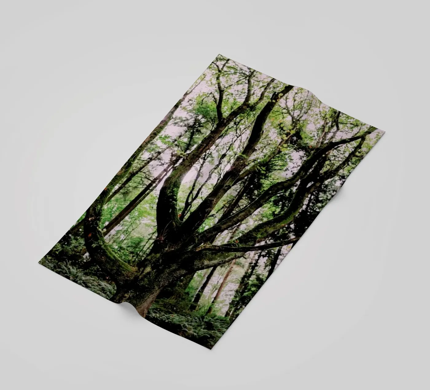 Forest Magic telo mare da Leah Flores