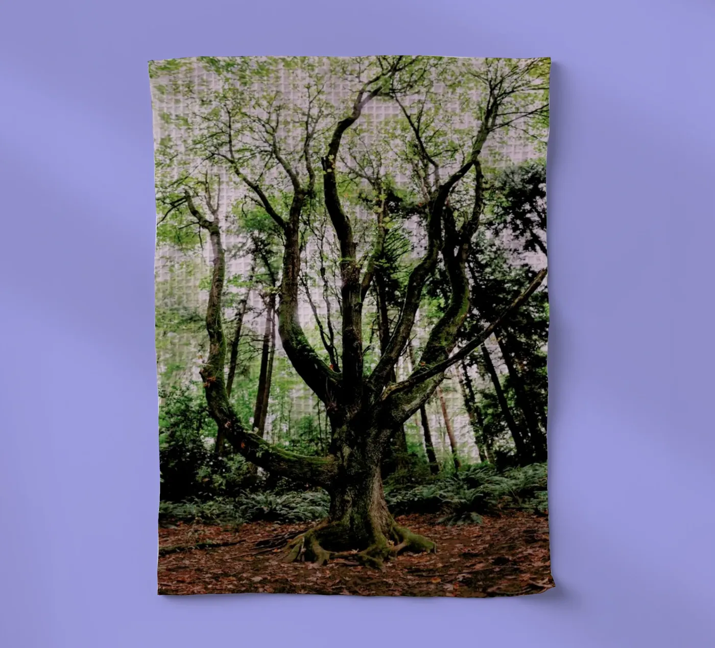 Forest Magic torchon de Leah Flores