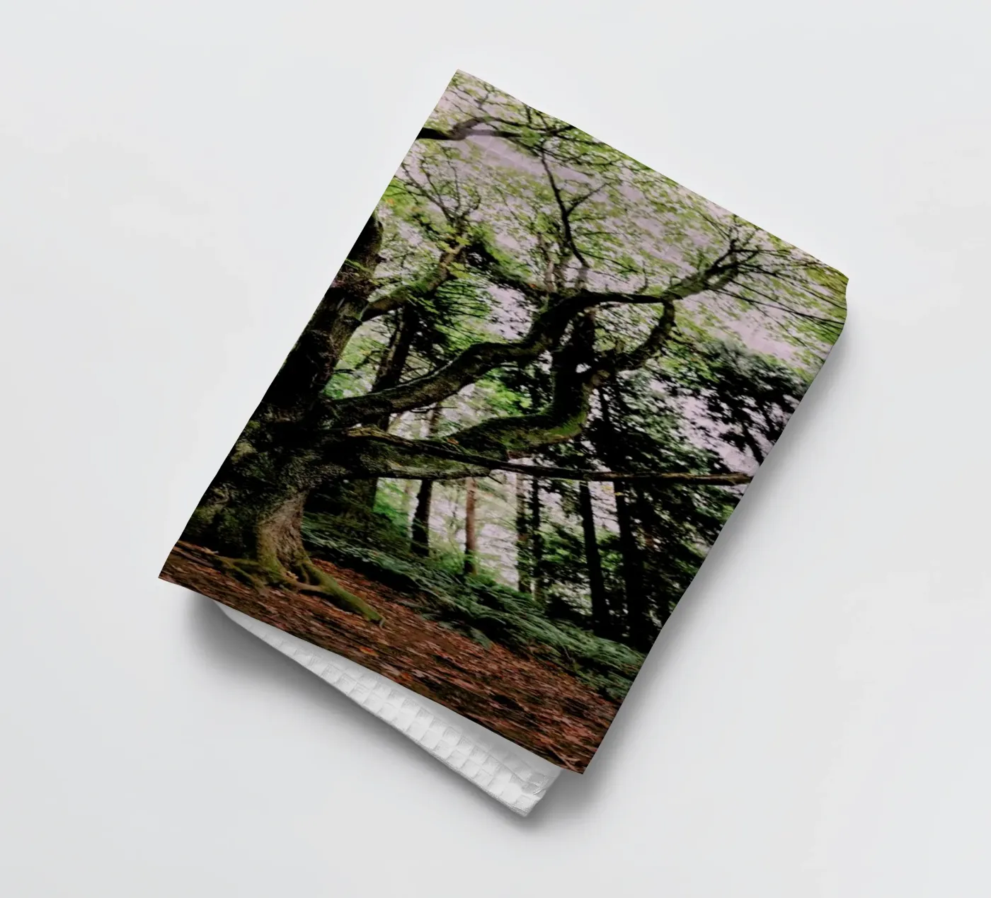 Forest Magic torchon de Leah Flores