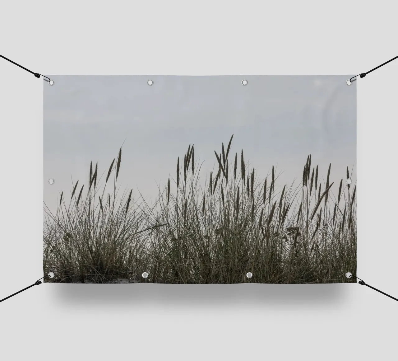 Erbe selvatiche telo in pvc da Barbara Buderath Fotodesign