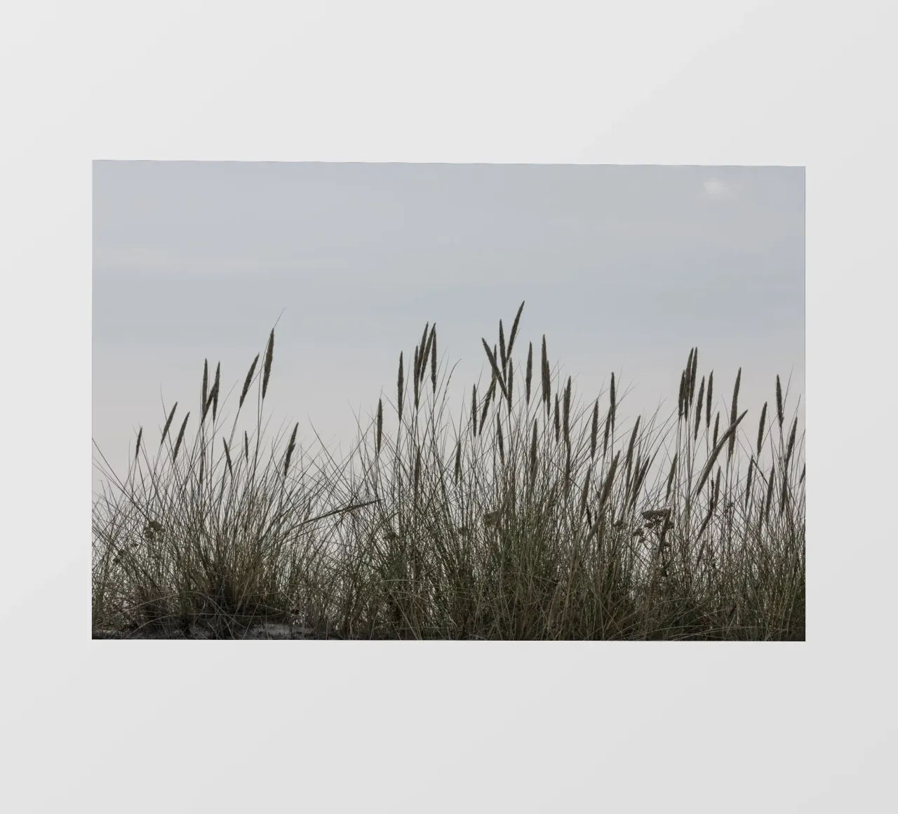 Erbe selvatiche telo in pvc da Barbara Buderath Fotodesign