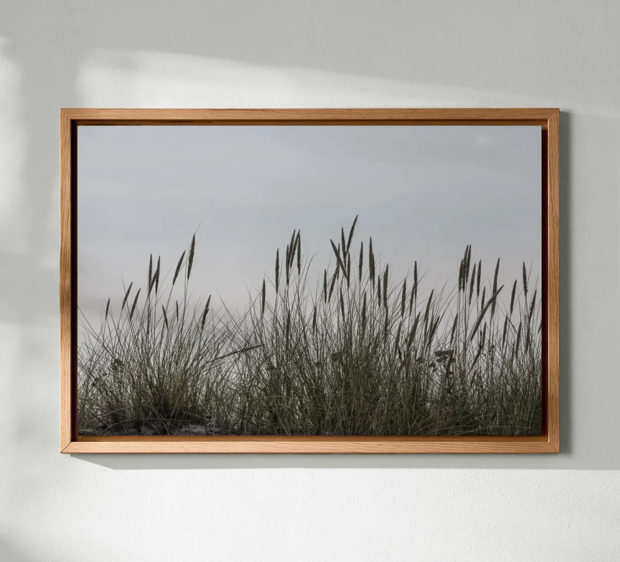 Wilde grassen canvas met Baklijst van Barbara Buderath Fotodesign
