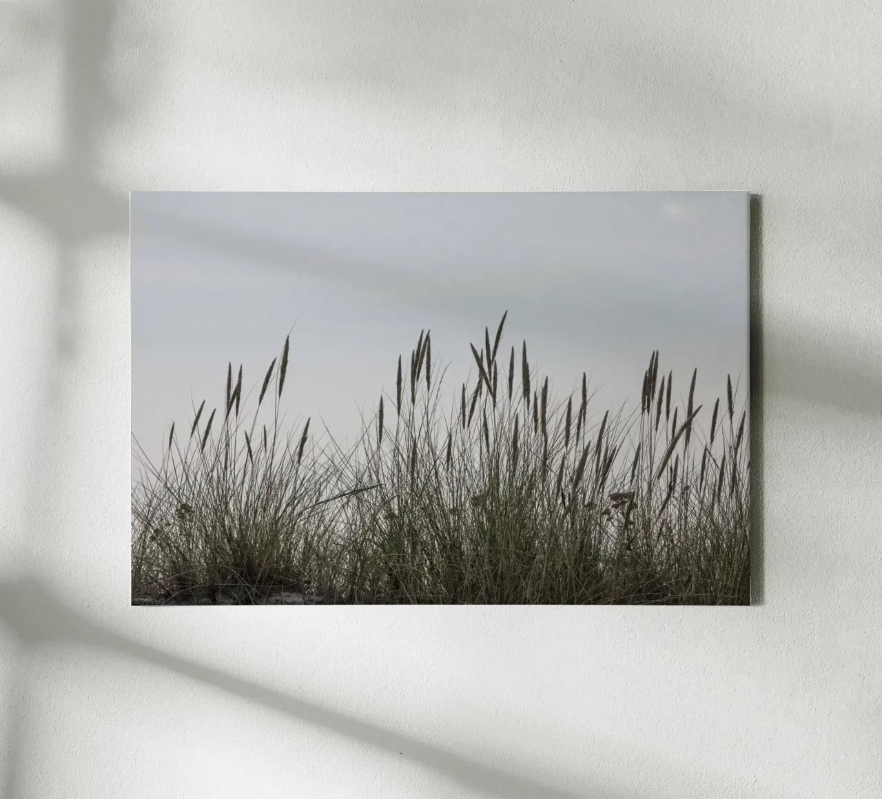 Wilde grassen canvas met Baklijst van Barbara Buderath Fotodesign