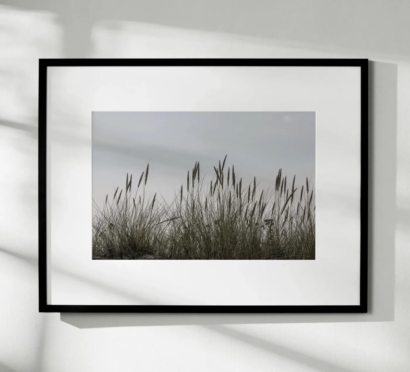 Wild grasses poster da Barbara Buderath Fotodesign
