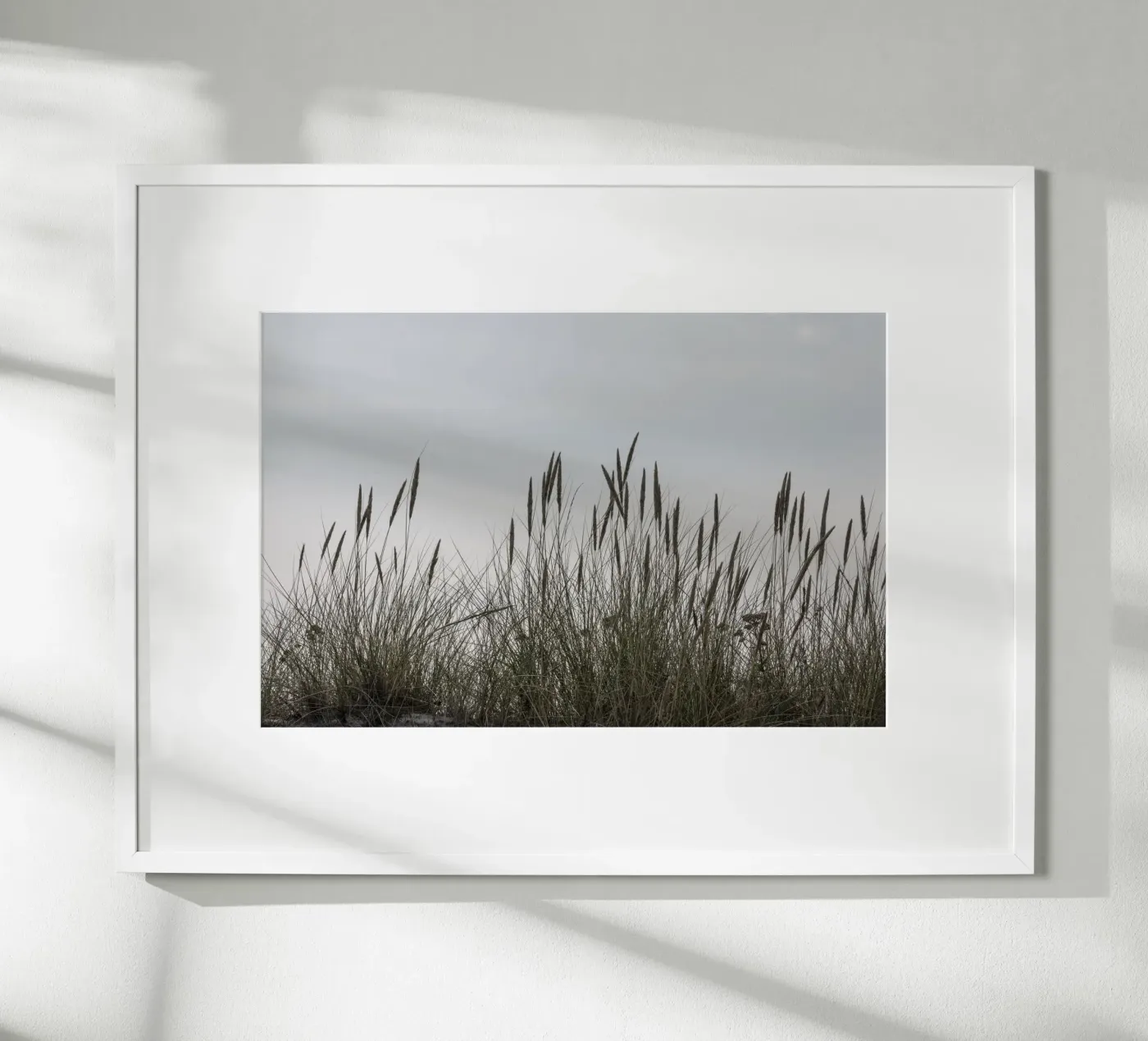 Wild grasses poster da Barbara Buderath Fotodesign