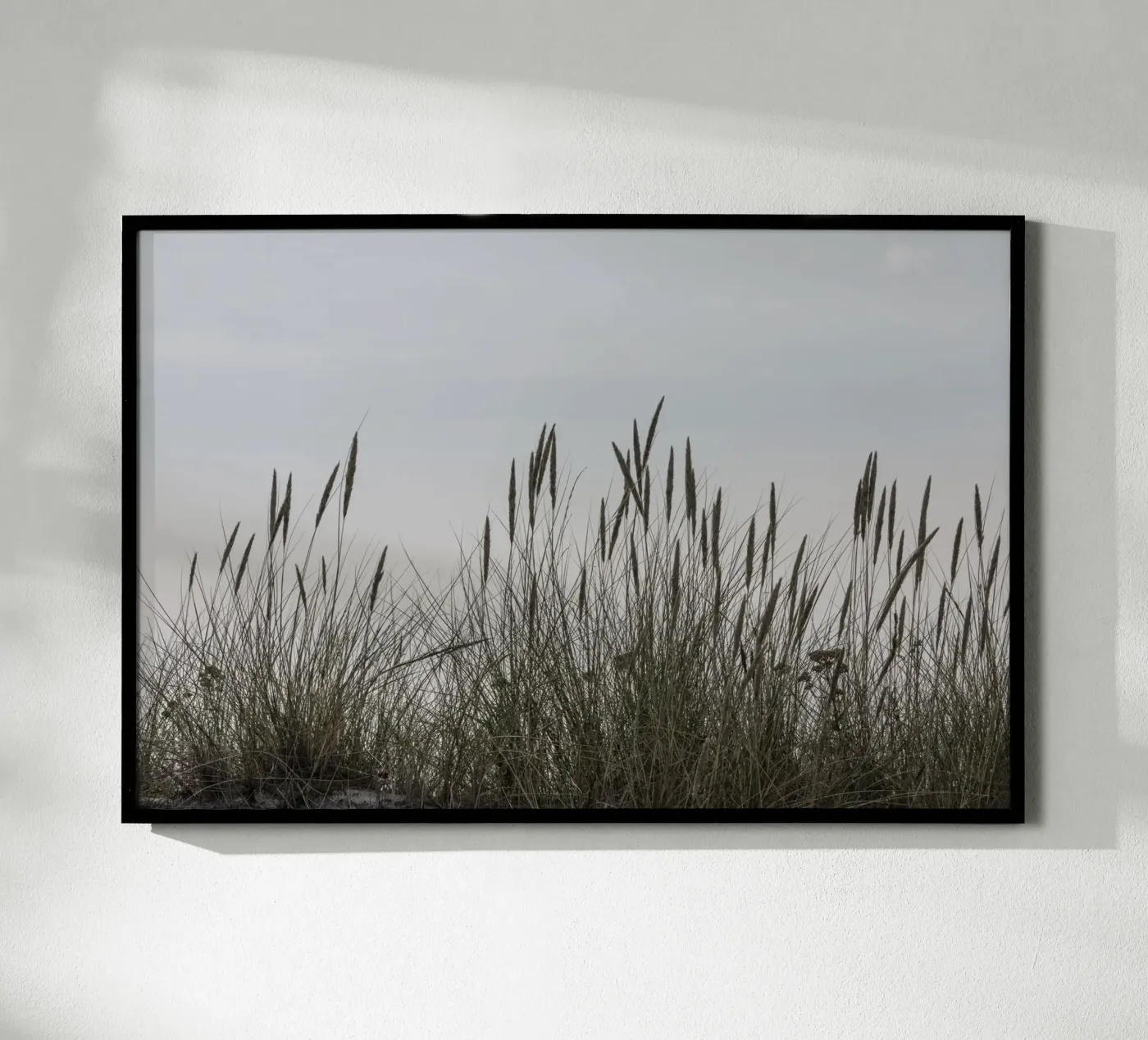 Wild grasses poster da Barbara Buderath Fotodesign
